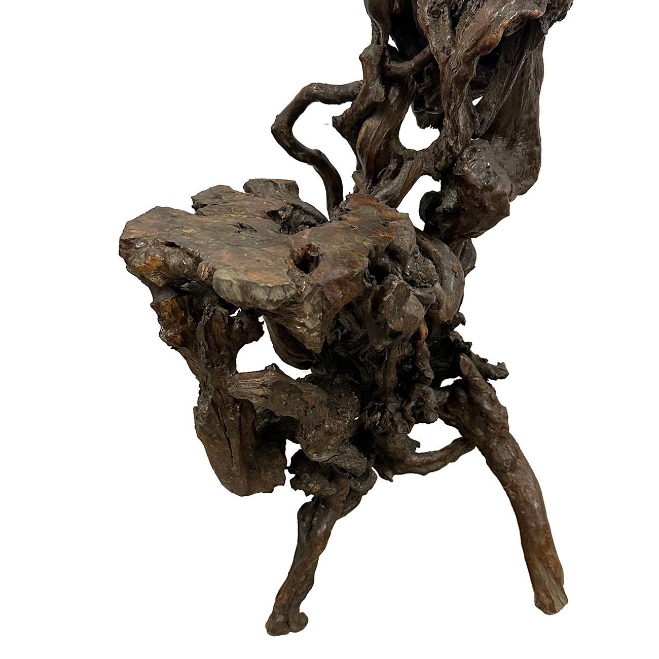 Mid-20th Century Chinese Natural Organic Tree Roots Plant Stand, Pedestal For Sale 1