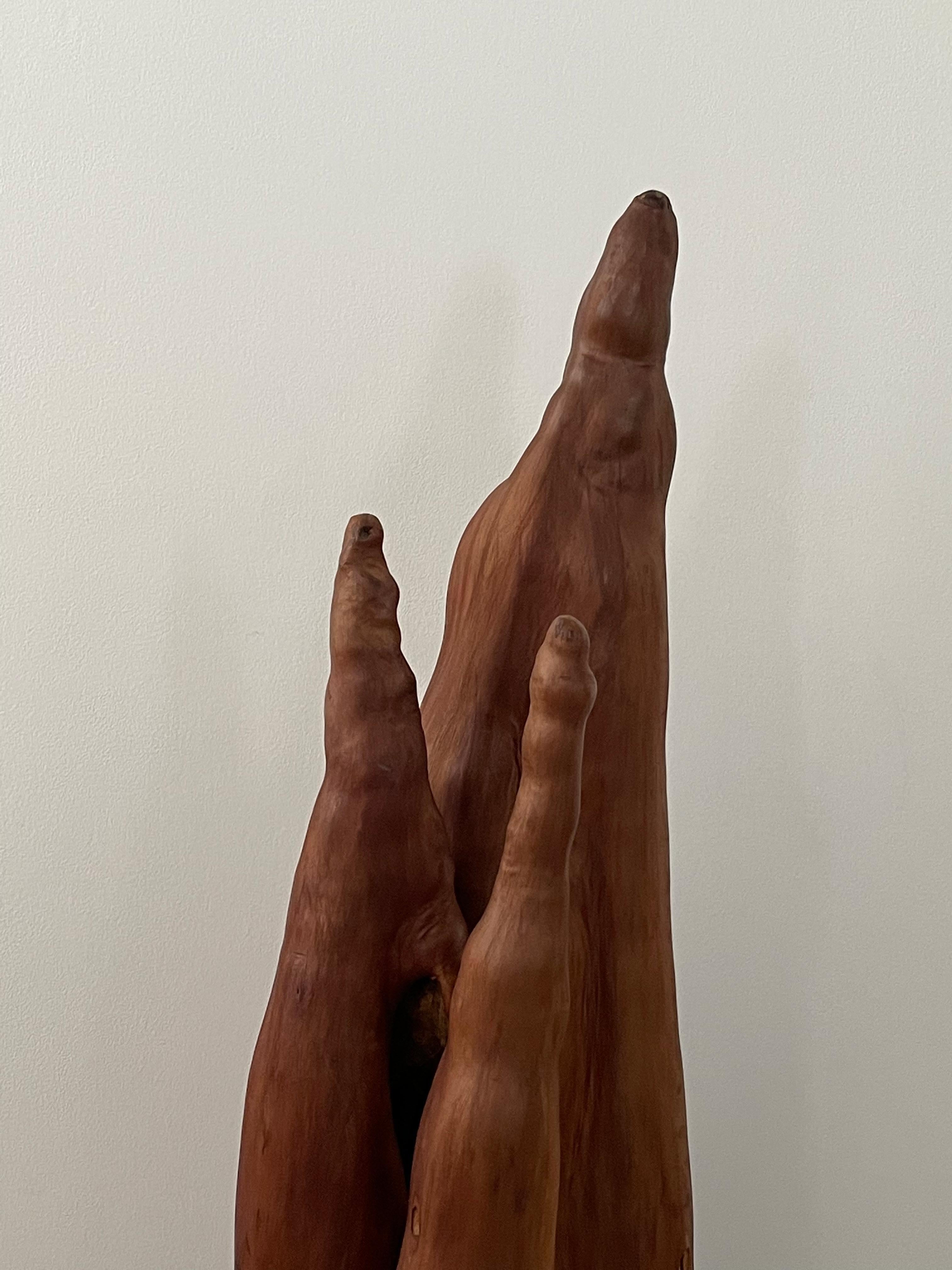 Hand-Crafted Mid 20th Century Cypress Sculpture For Sale