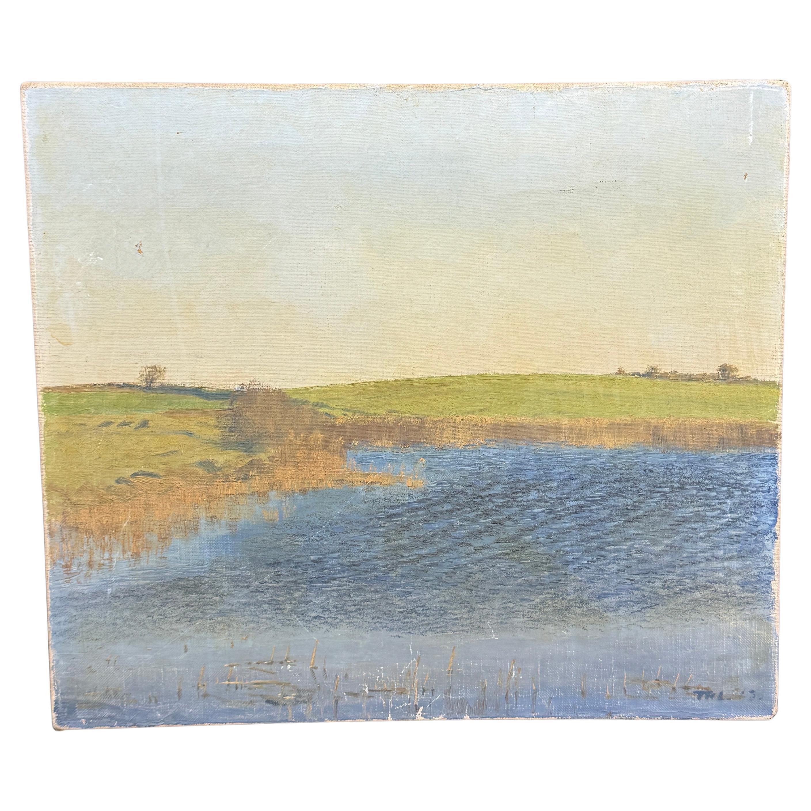 Mid-20th Century Danish Oil on Canvas Of Danish Lake on Sjælland For Sale