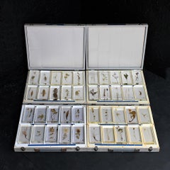 Mid-20th Century Encased Botanic Flower Samples
