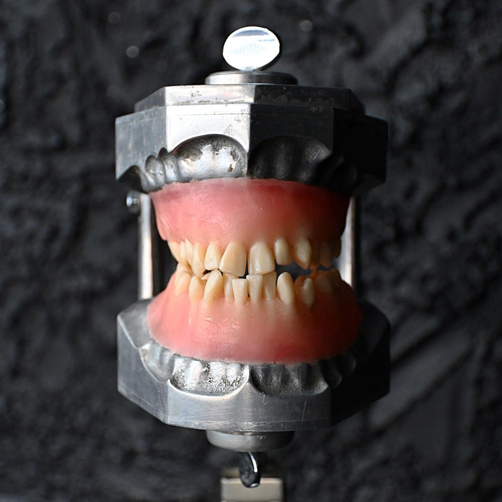 Mid-20th Century English Dental Phantom Display
This unusual example of a mid-20th century English dental phantom display is fully articulated and adjustable. Made from a metal and wax, The jaw section opens and closes as shown, with the height of