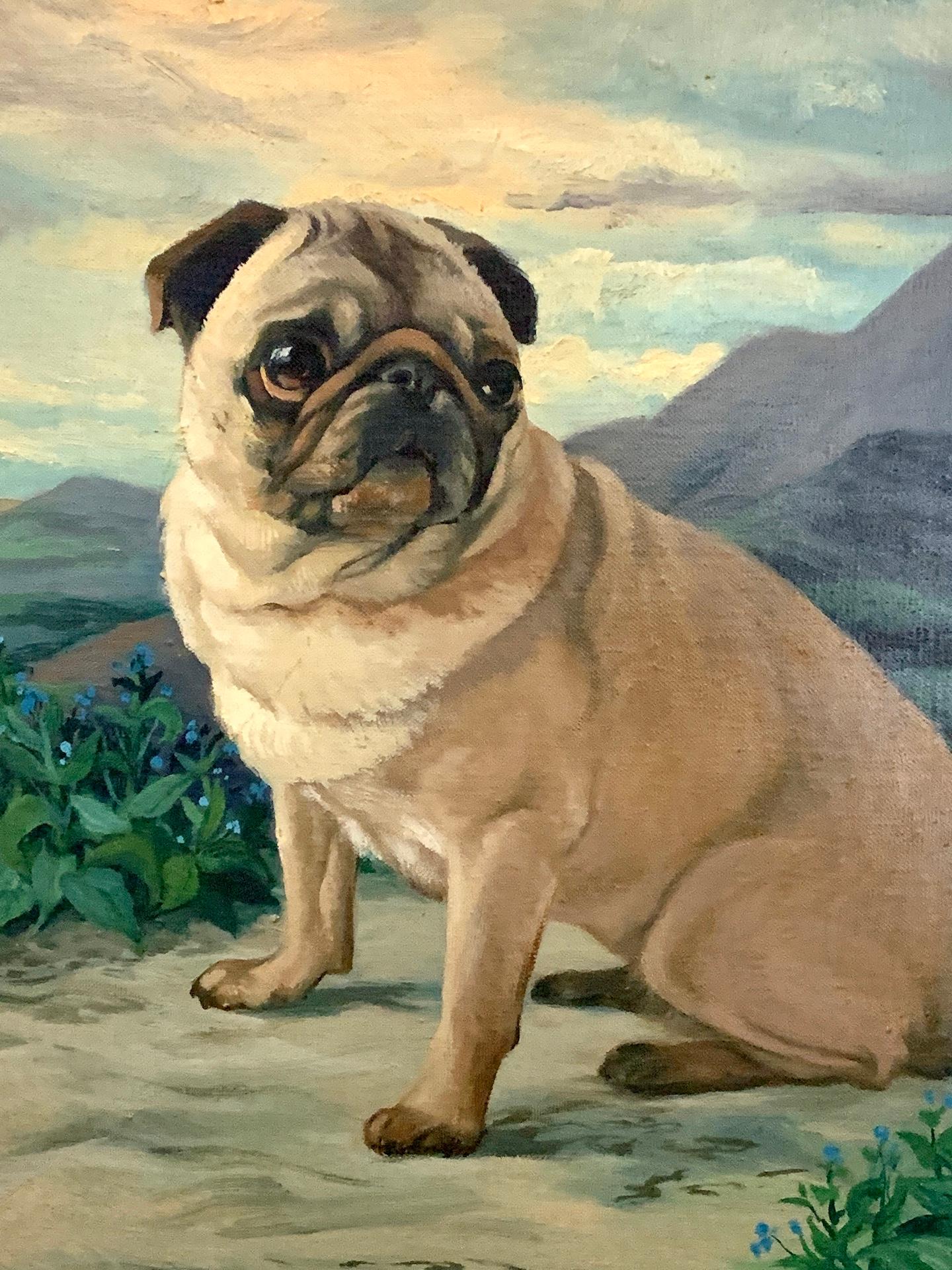 what did pugs look like 200 years ago