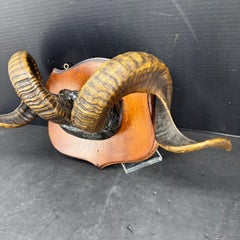 Mid-20th Century Folk Art Ram's Horn Wall Mount Plaque