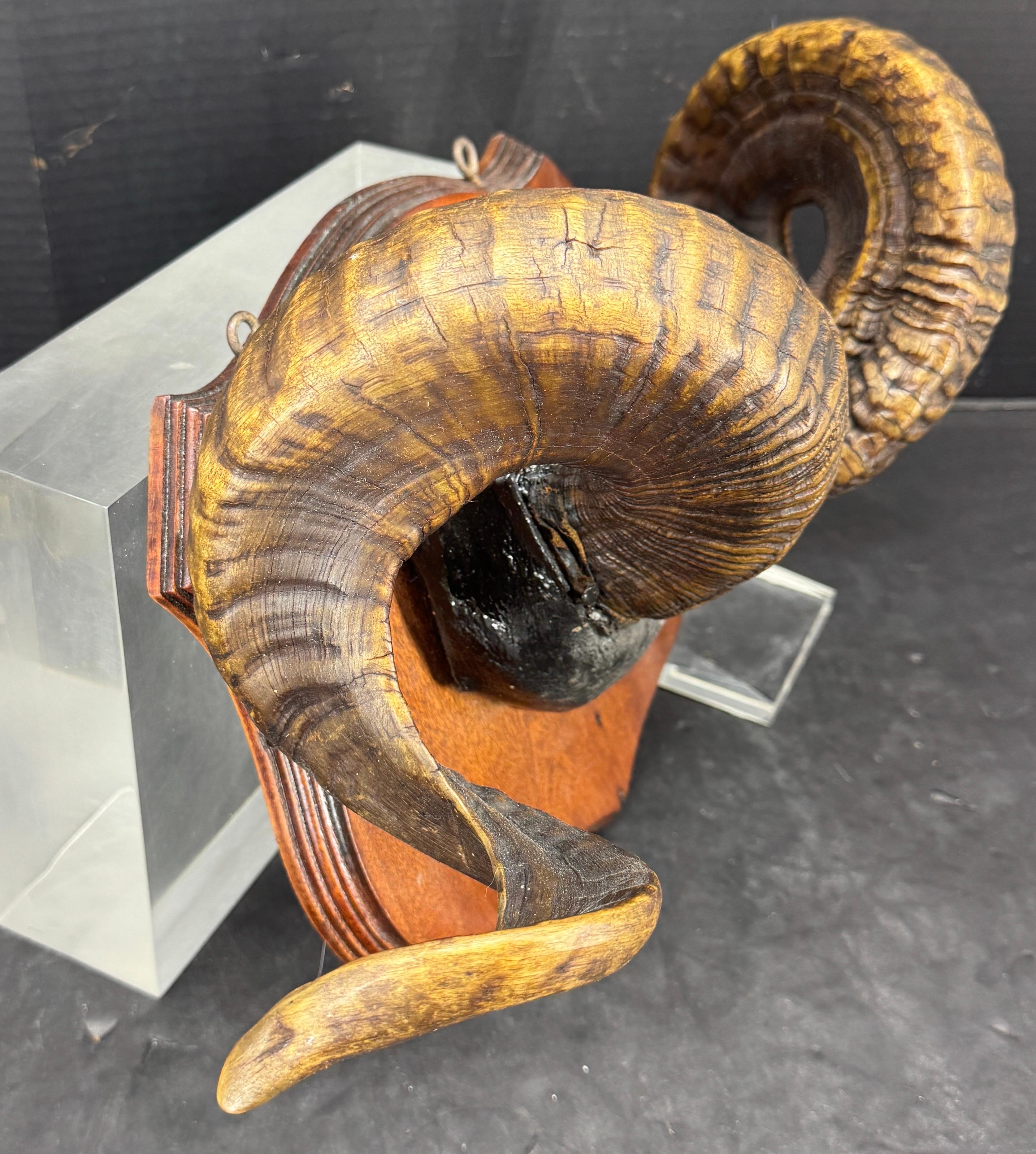 Palco Targa da parete con corno d'ariete di arte popolare della metà del XX secolo in vendita