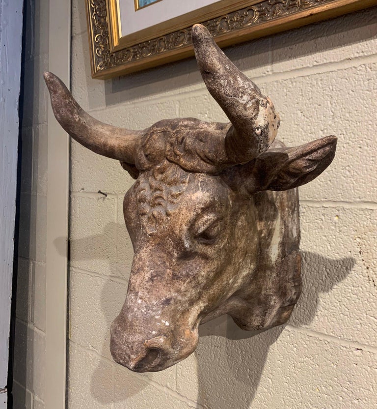 Mid20th Century French Carved Terracotta Butcher Cow Head Sculpture at 1stDibs