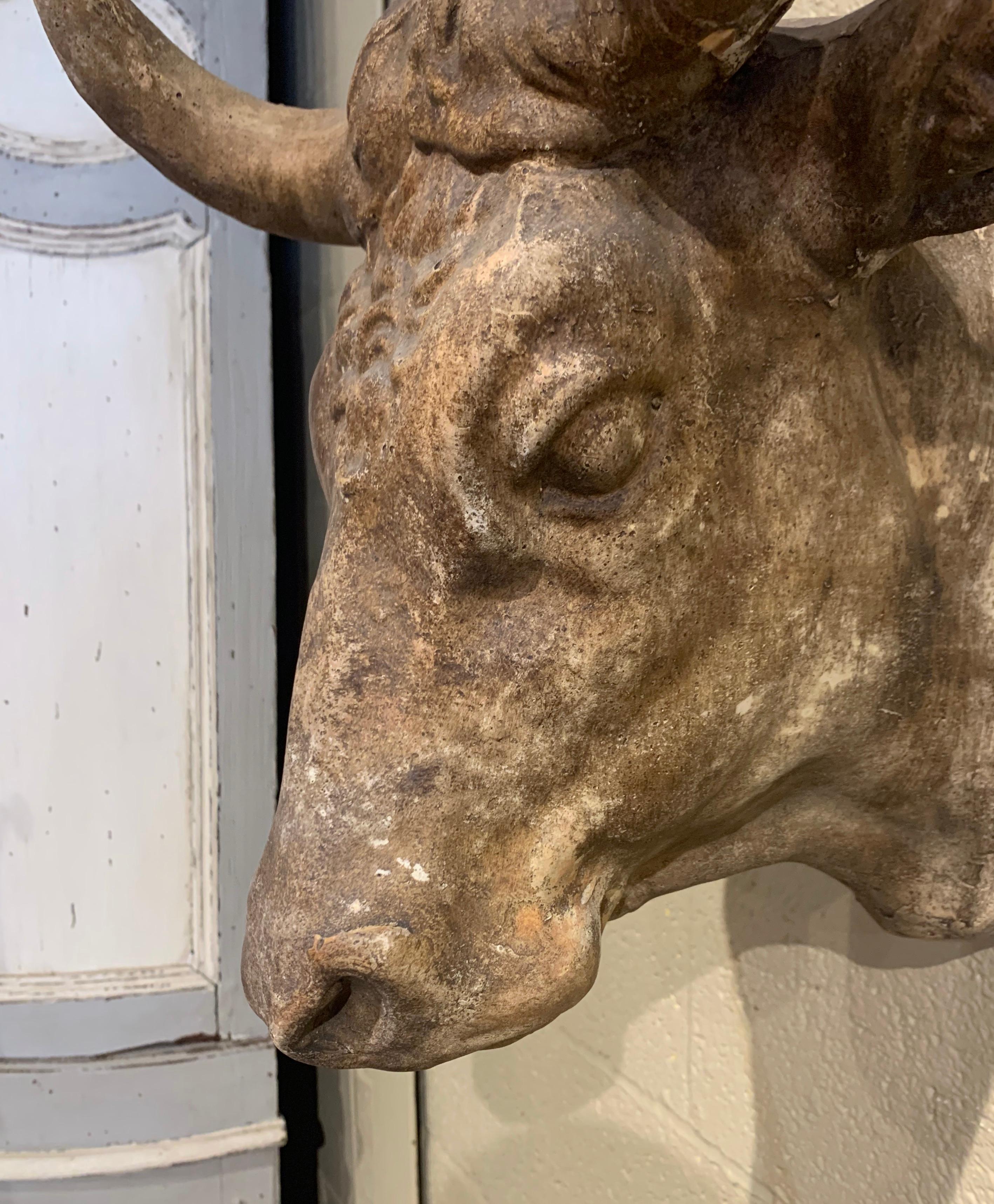 Mid20th Century French Carved Terracotta Butcher Cow Head Sculpture at 1stDibs