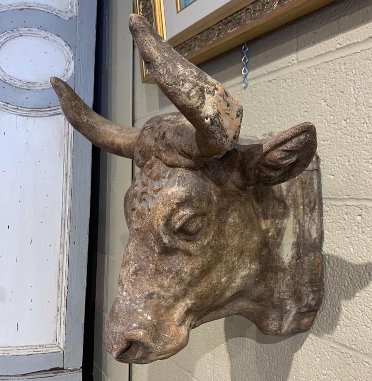 Mid20th Century French Carved Terracotta Butcher Cow Head Sculpture at 1stDibs