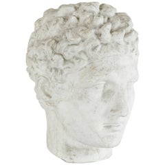 Mid-20th Century French Plaster Bust of a Classical Greek Head