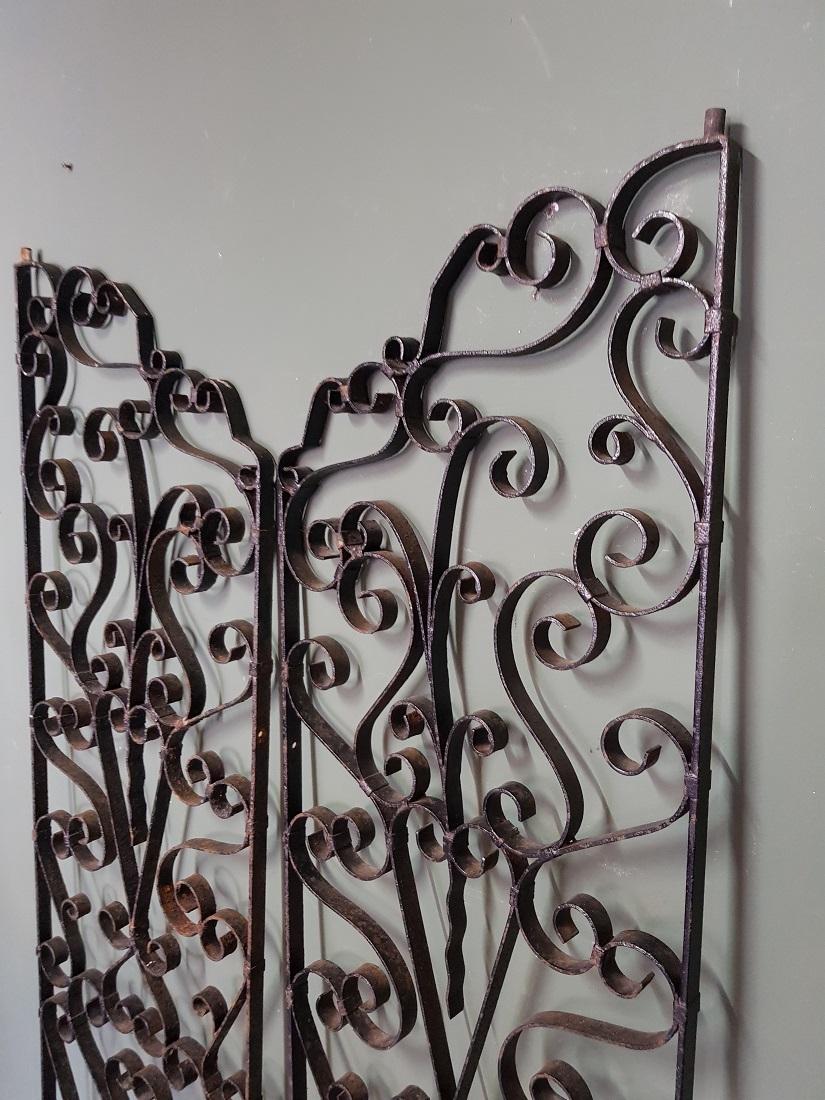 Set of old French wrought iron doors probably from a wine cellar and both are elaborately decorated with curls. both in a good but used condition. Originating from the mid-20th century.

The measurements are,
Depth 2.5 cm/ 0.9 inch.
Width 41 cm/