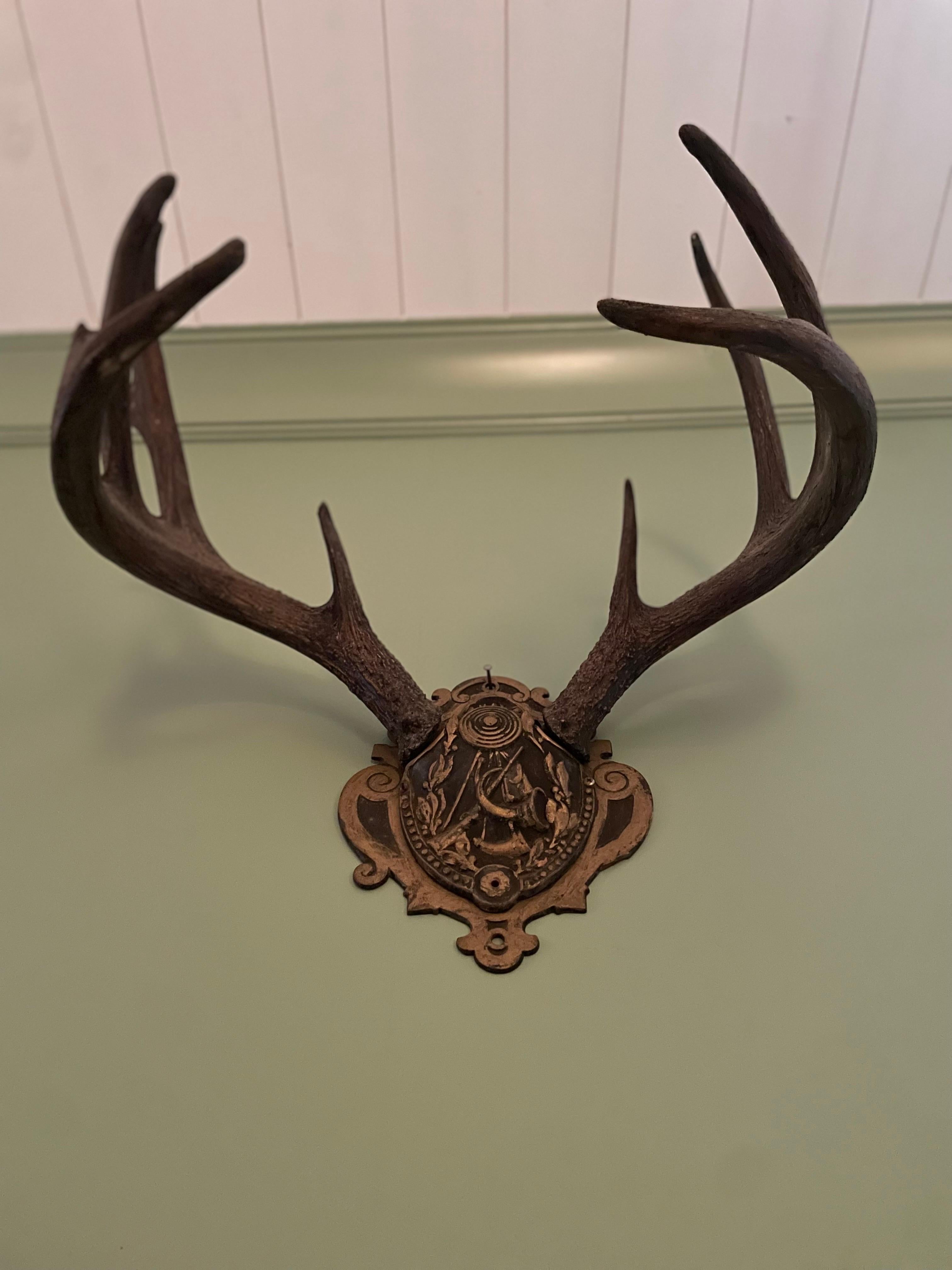 Mid 20th Century German Antlers on Iron Plate Deer Antler Wall Plaques

Gorgeous and Unusual German Antlers on Detailed Iron Plate. Iron plate says Paton pending. Deer Antler Wall Plaques. Pictures do not do these antlers Justice very beautiful in