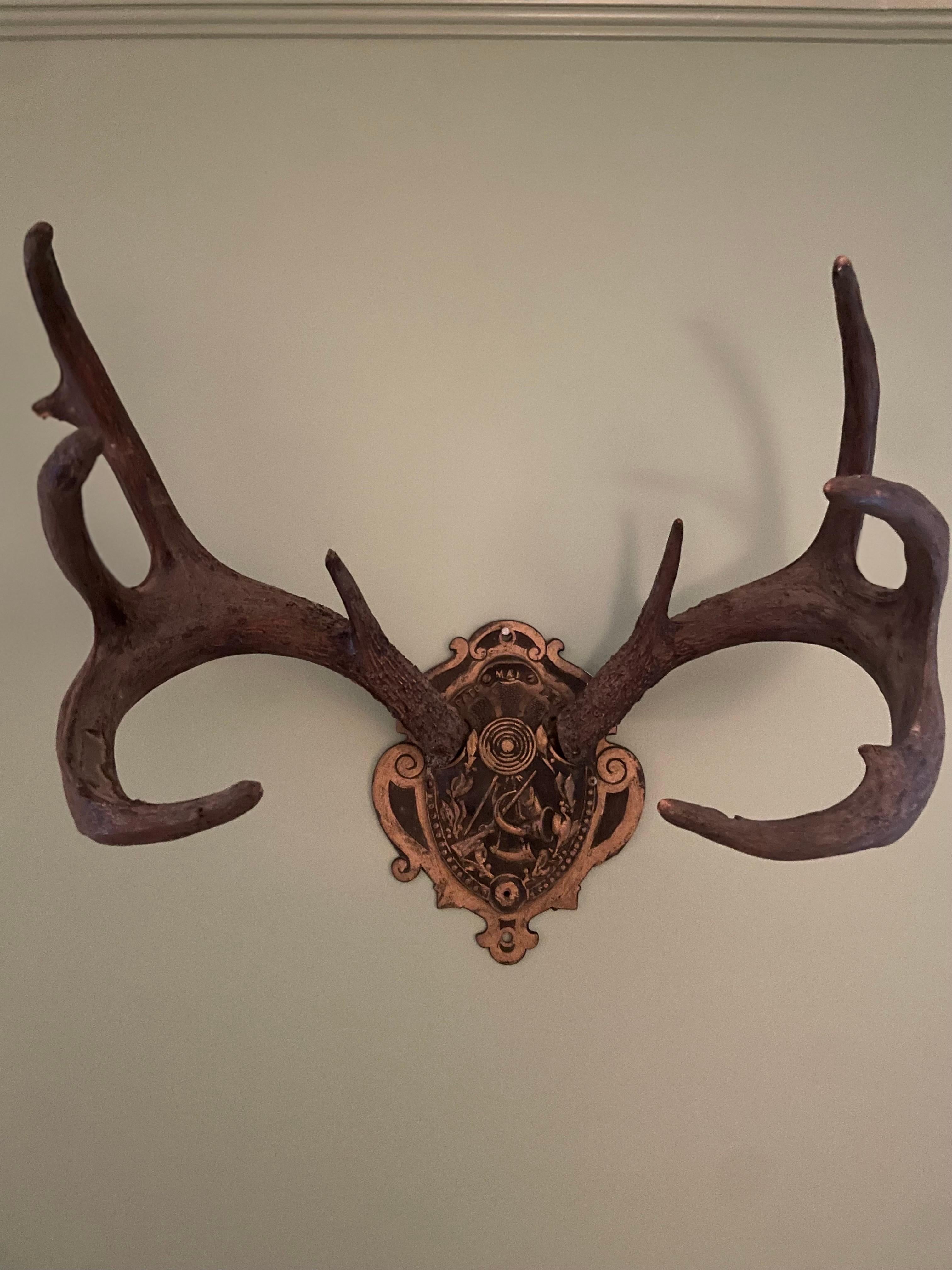 Mid 20th Century German Antlers on Iron Plate Deer Antler Wall Plaques For Sale 2