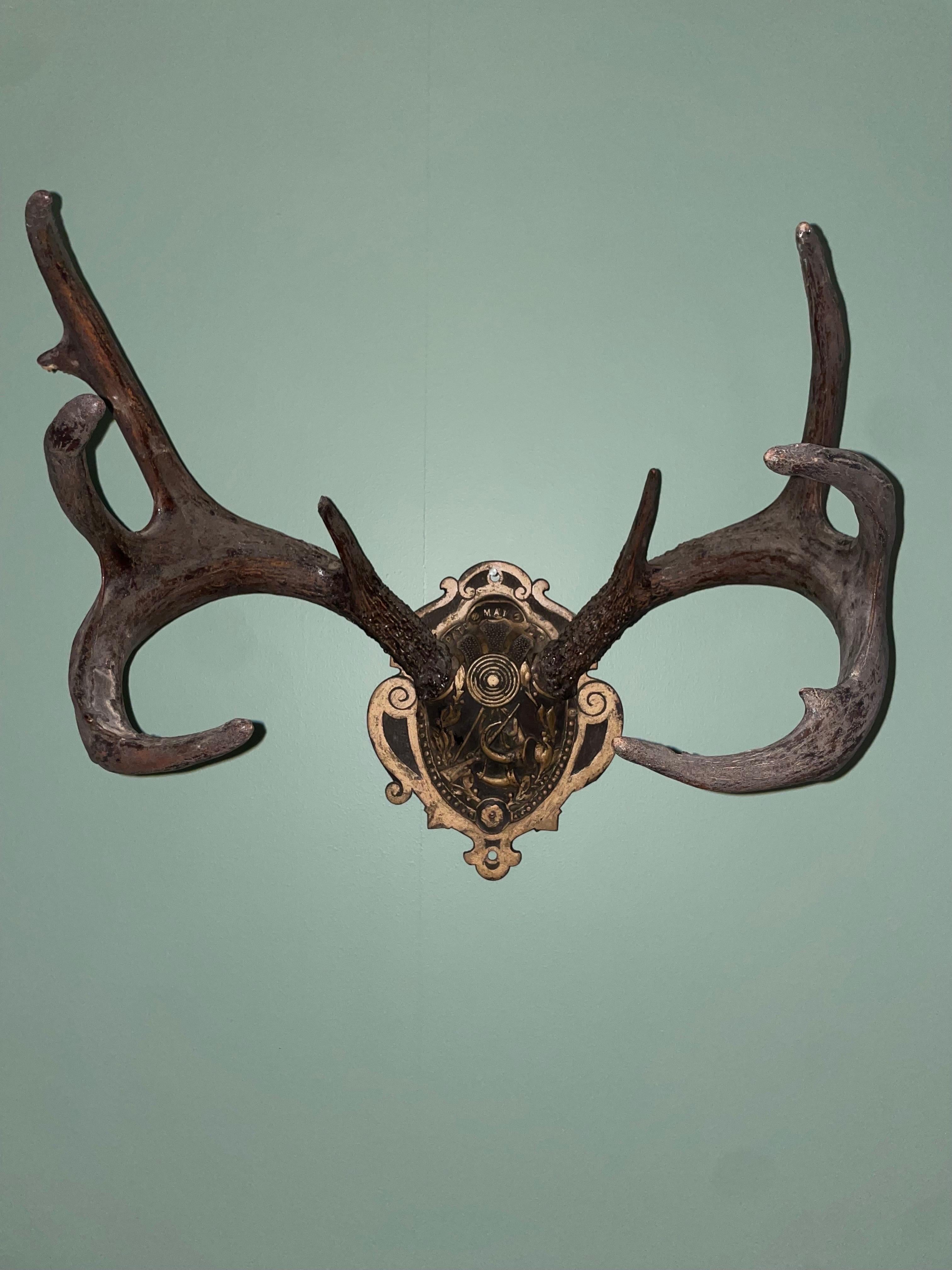 Mid 20th Century German Antlers on Iron Plate Deer Antler Wall Plaques For Sale 5
