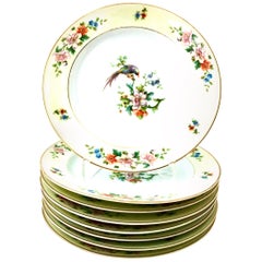 Mid-20th Century German Porcelain "Songbird" Salad/Dessert Plate by H&C Set of 8