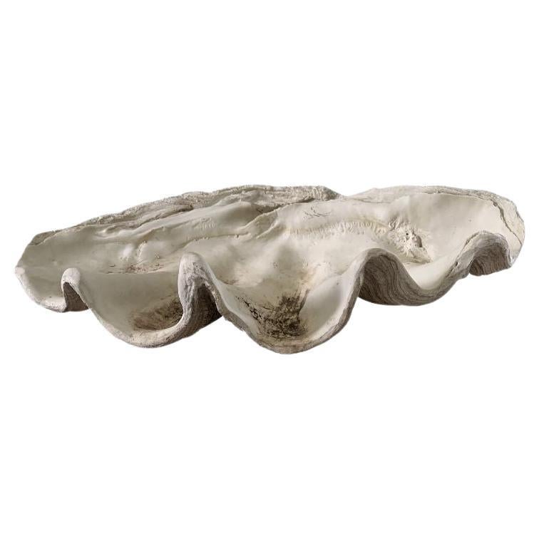 Mid 20th Century Giant Faux Clam Shell