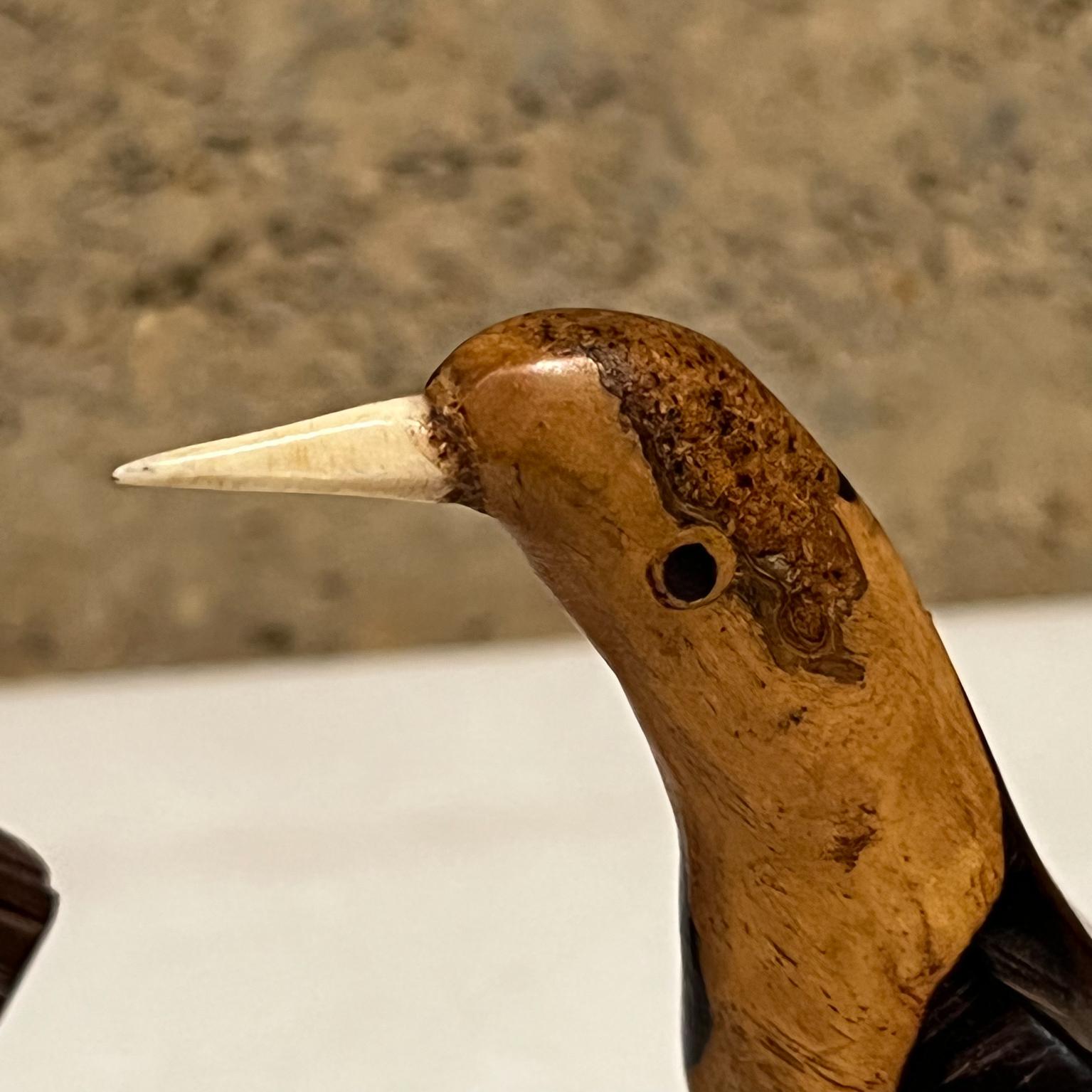 Mid 20th Century Hand Carved Birds in Palo Fierro Wood 4