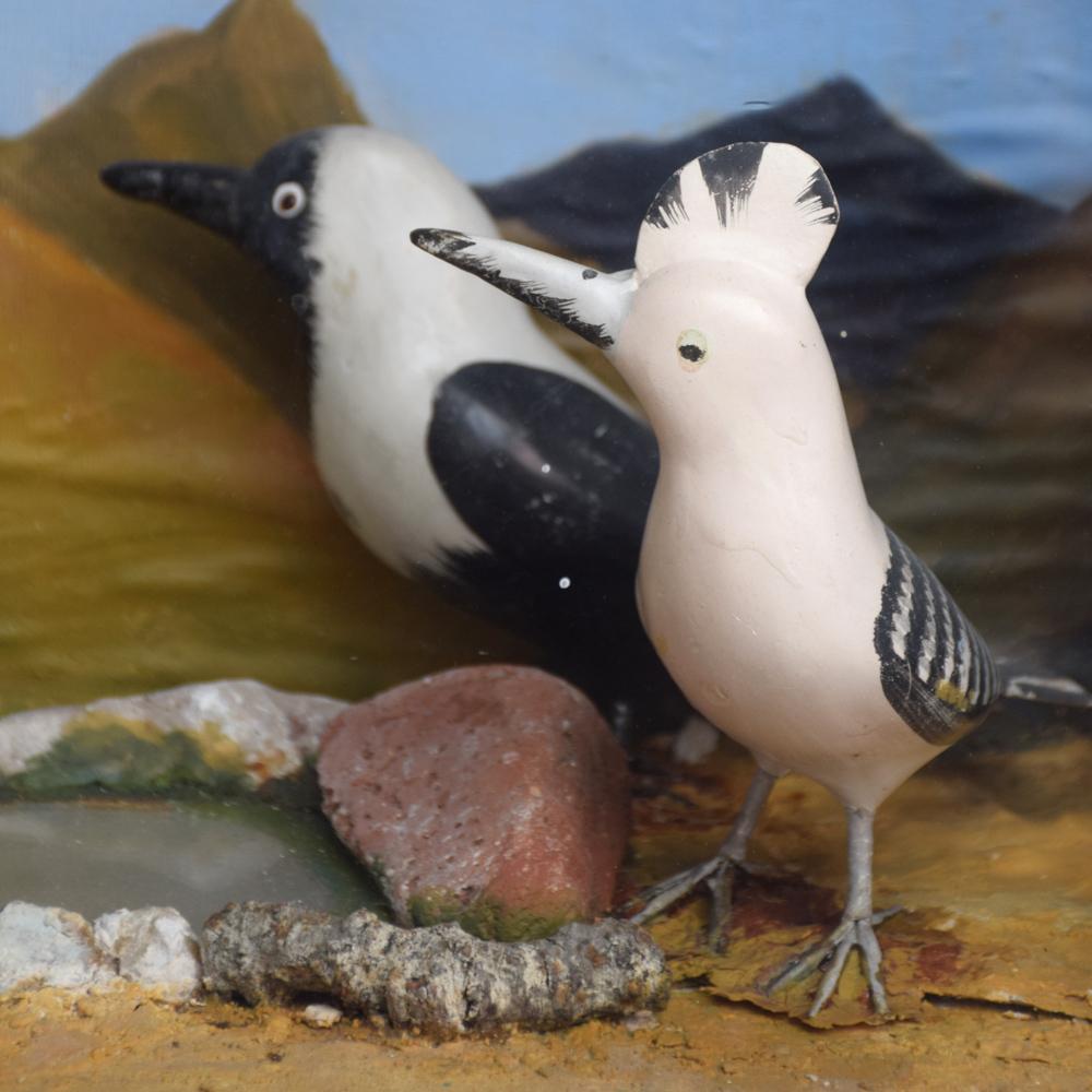 bird diorama box