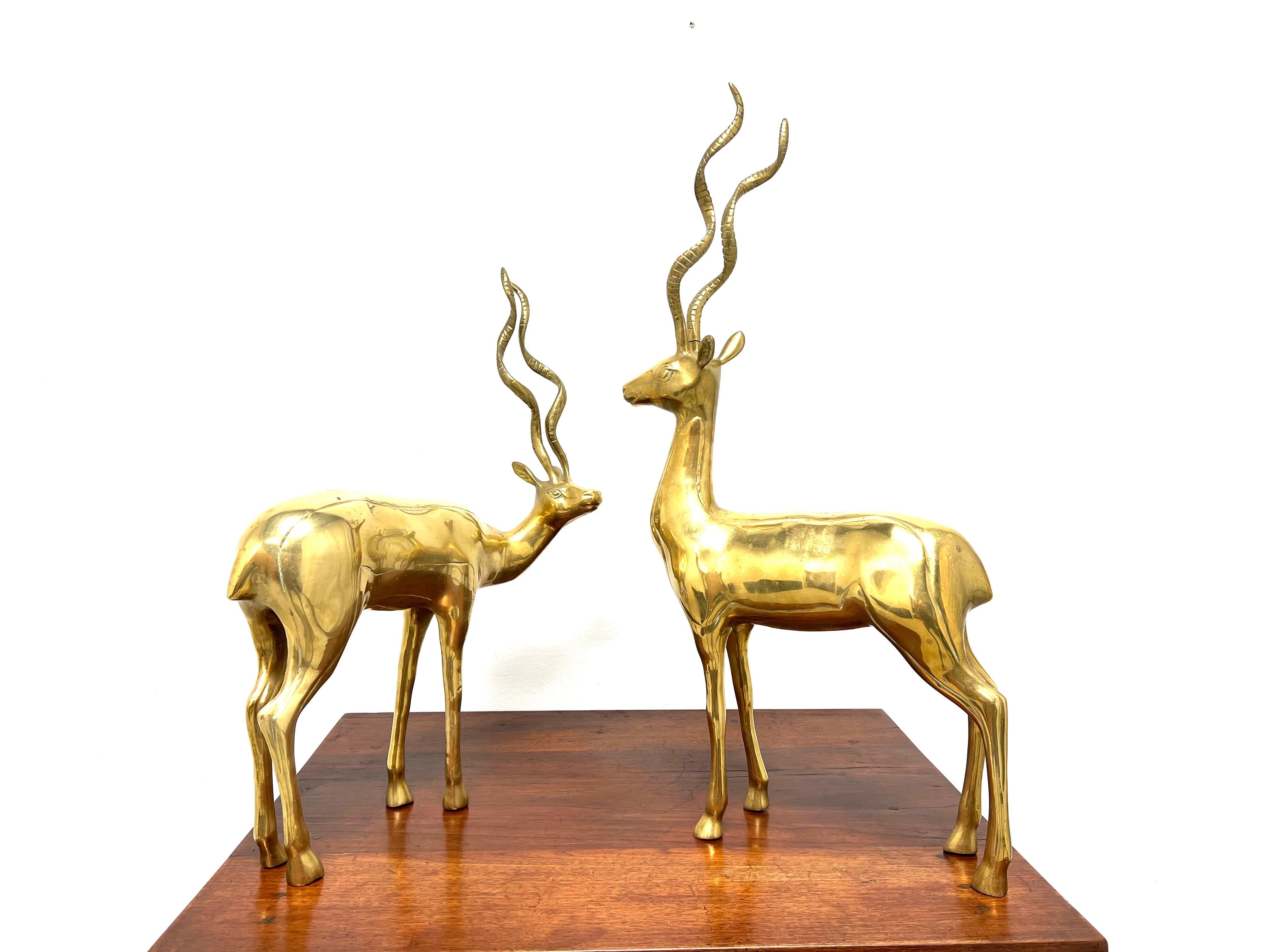 Mid 20th Century Large Brass Standing Antelope Sculptures - Pair For Sale 1