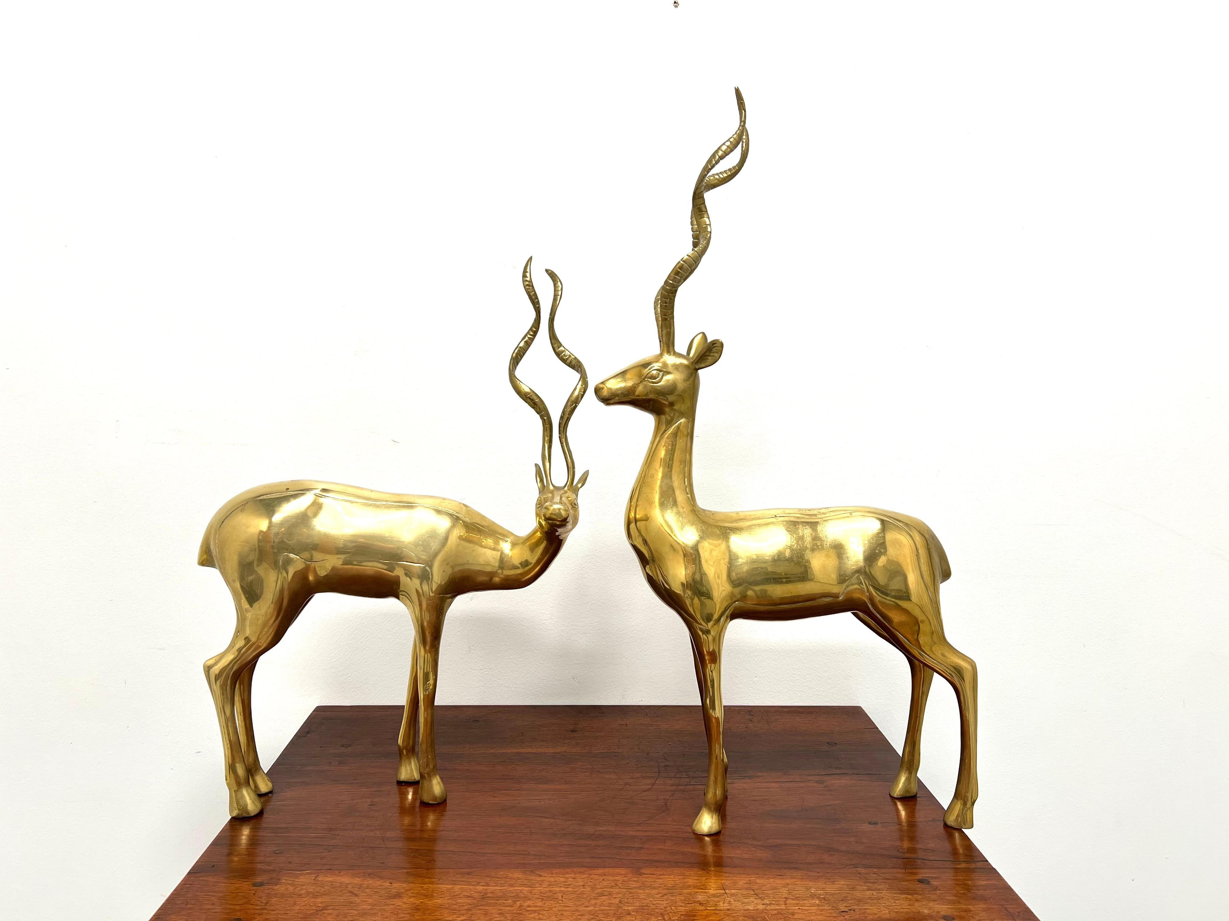 Mid 20th Century Large Brass Standing Antelope Sculptures - Pair For Sale 2