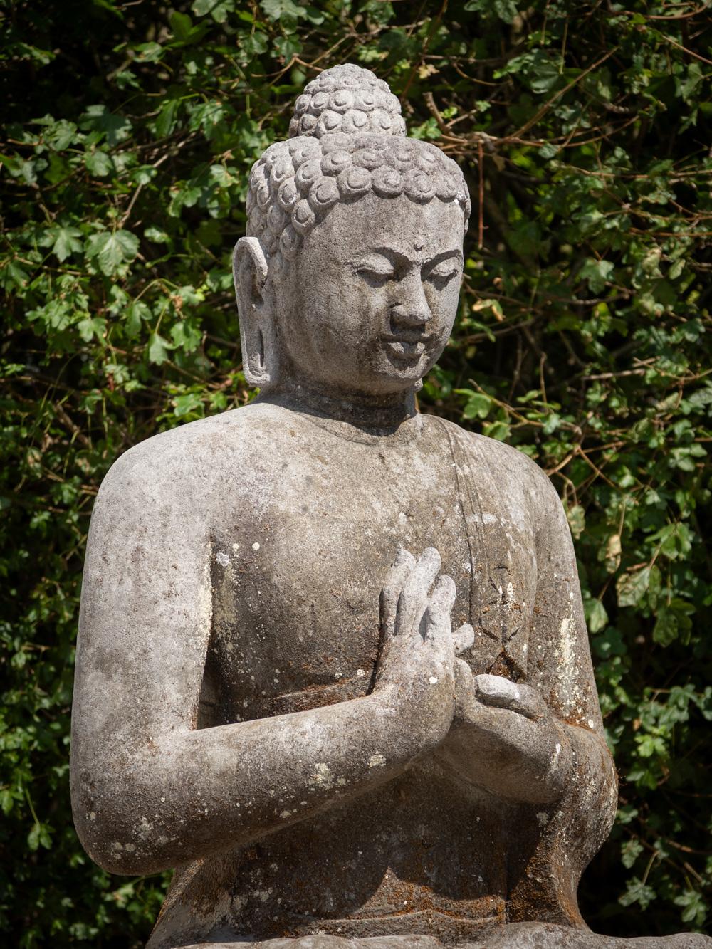 Mid 20th century large old lavastone Buddha statue in Dharmachakra mudra  For Sale 13