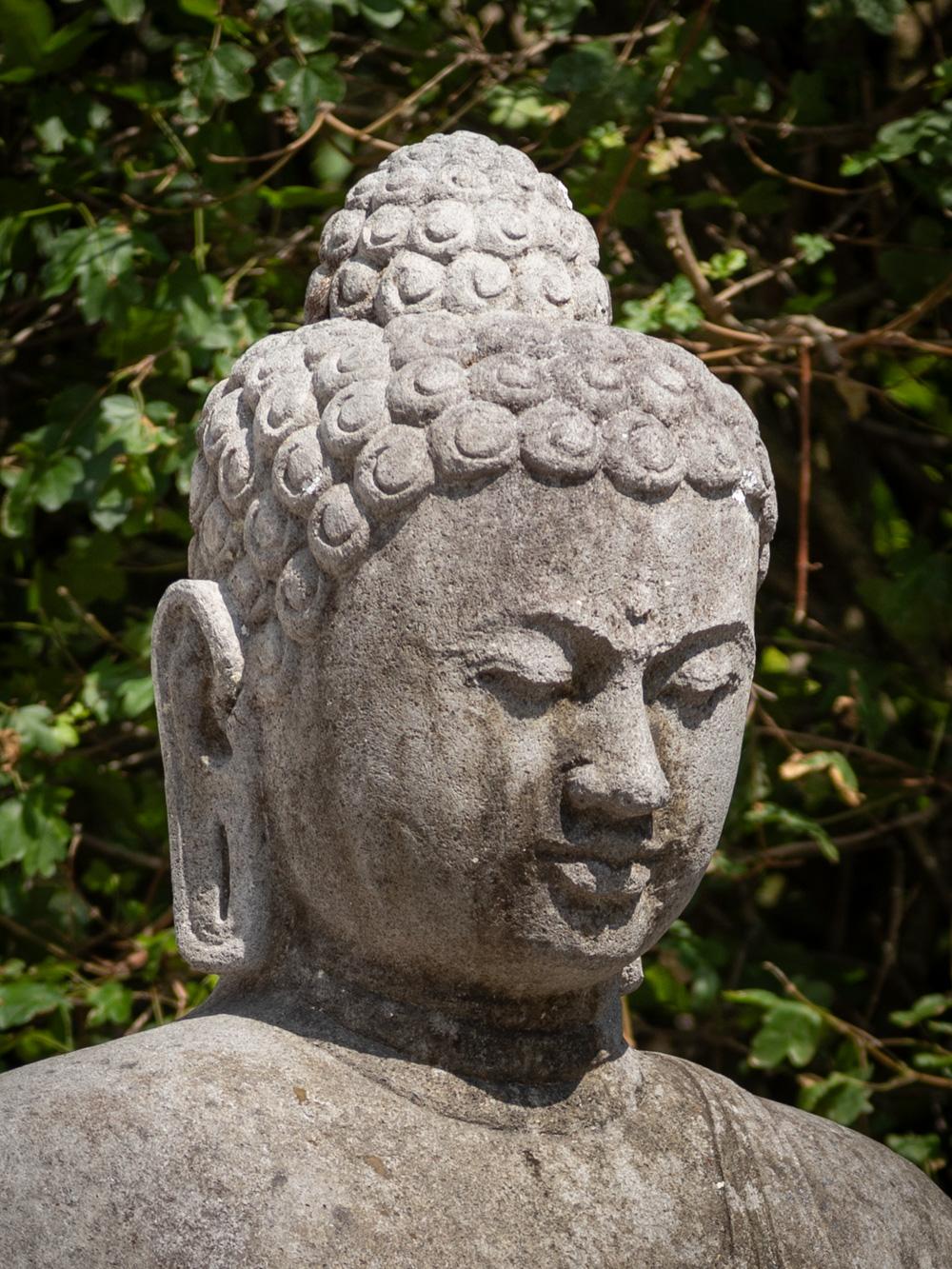 Mid 20th century large old lavastone Buddha statue in Dharmachakra mudra  For Sale 14