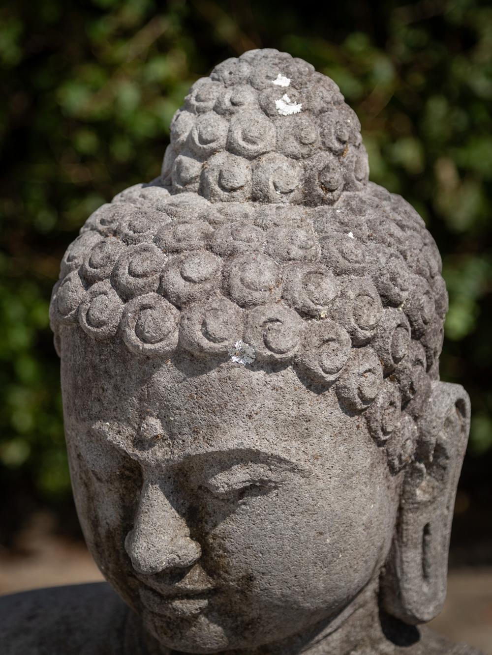 Mid 20th century large old lavastone Buddha statue in Dharmachakra mudra  For Sale 2