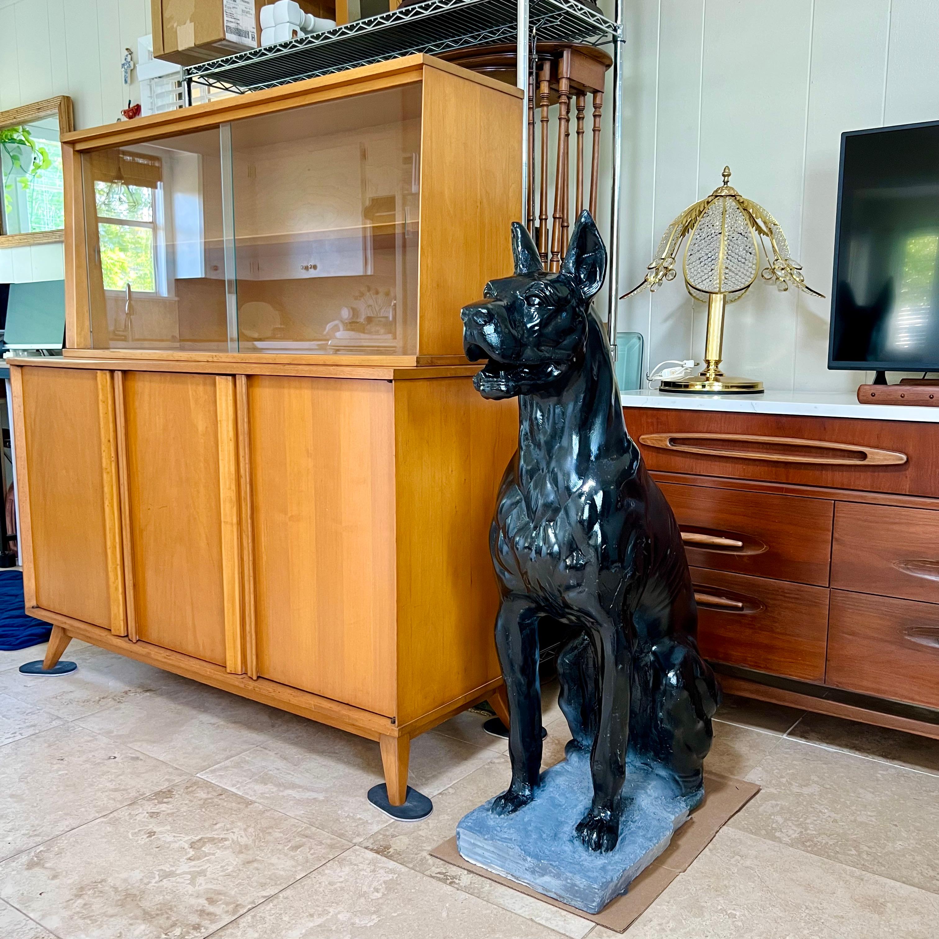 Impresionante estatua de gran danés negro de mediados de siglo. Listo para montar guardia, este perro de tamaño natural se mantiene alerta con la boca abierta y la lengua ligeramente hacia un lado. Probablemente ha sido repintada toda de negro con