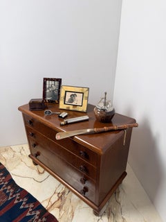 Mid-20th Century Long-handled shoehorn in real Bamboo Cane and Horn, Italy 50s