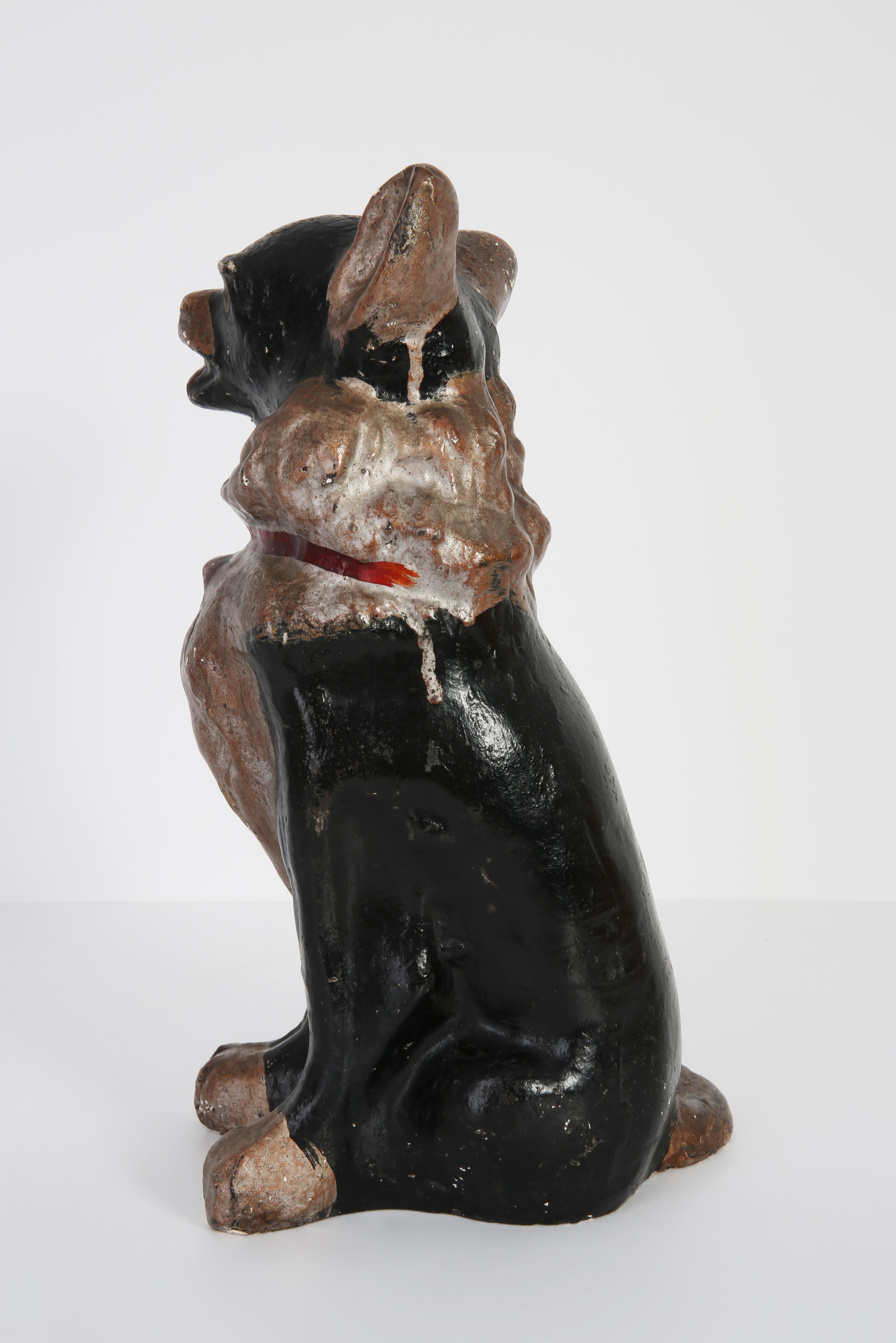 Mid-20th Century Medium Chihuahua Dog Gypsum Decorative Sculpture, Italy, 1960s 4