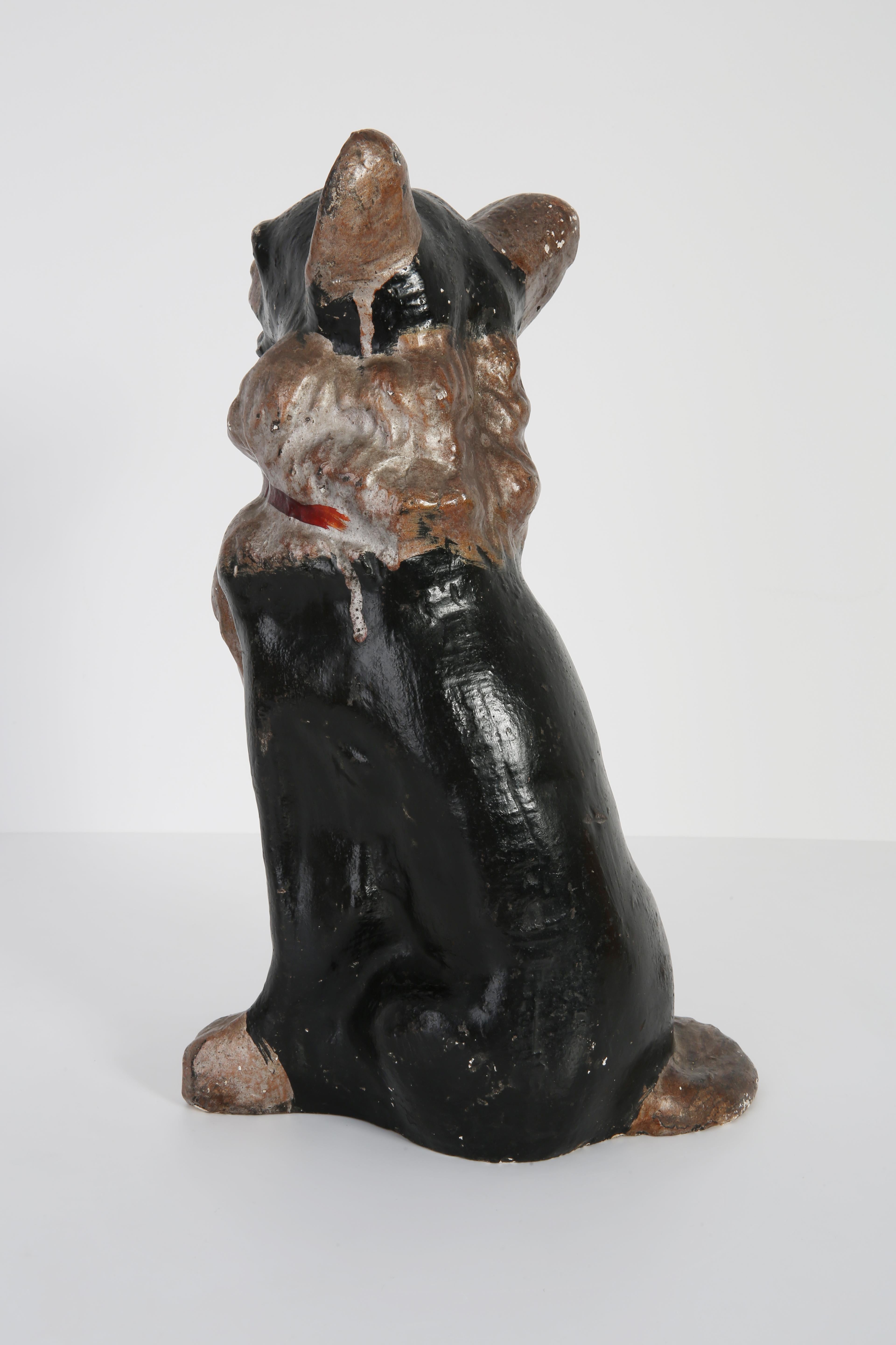 Mid-20th Century Medium Chihuahua Dog Gypsum Decorative Sculpture, Italy, 1960s 3