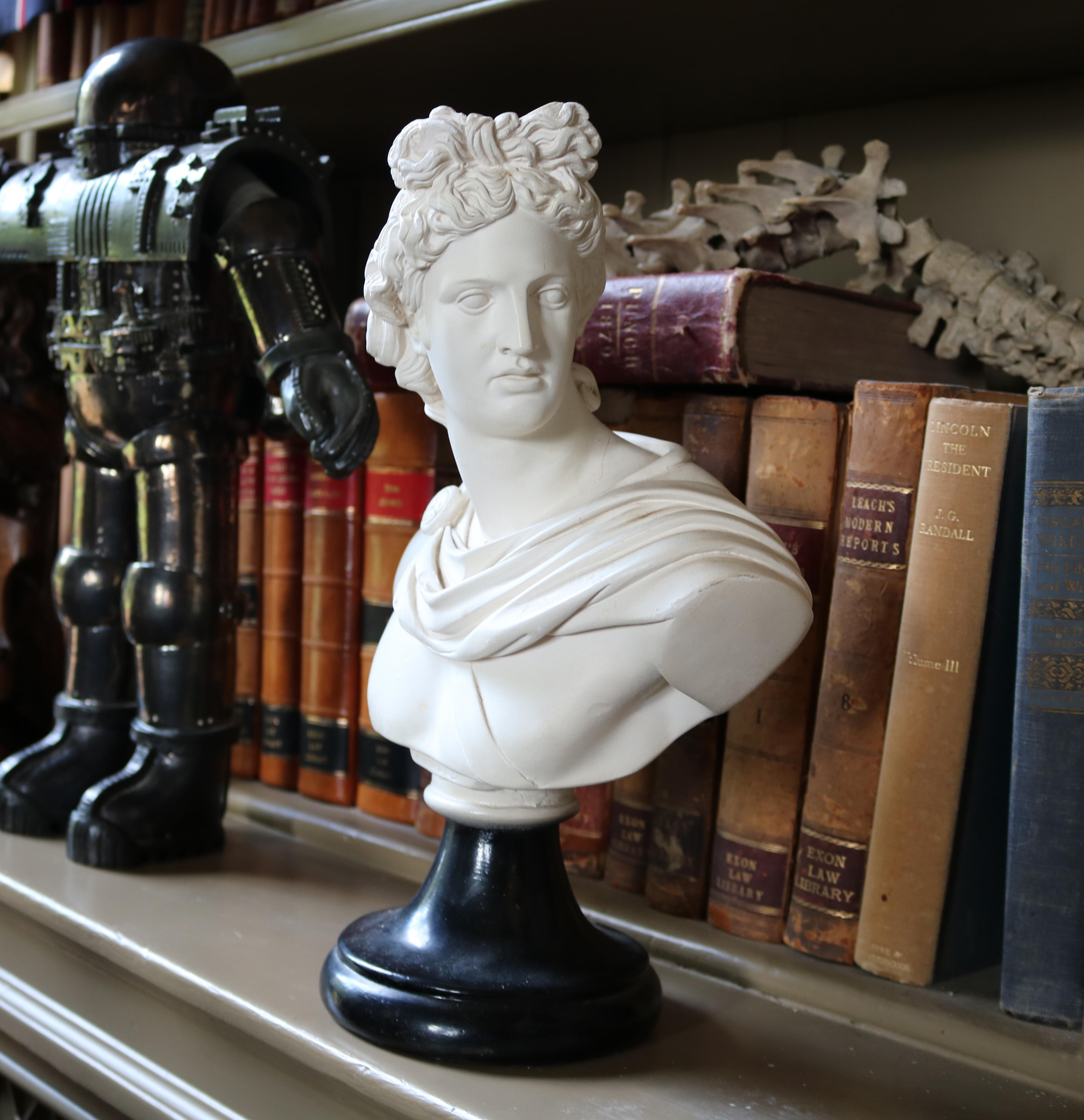 Carved Mid-20th Century Miniature Bust of Apollo For Sale