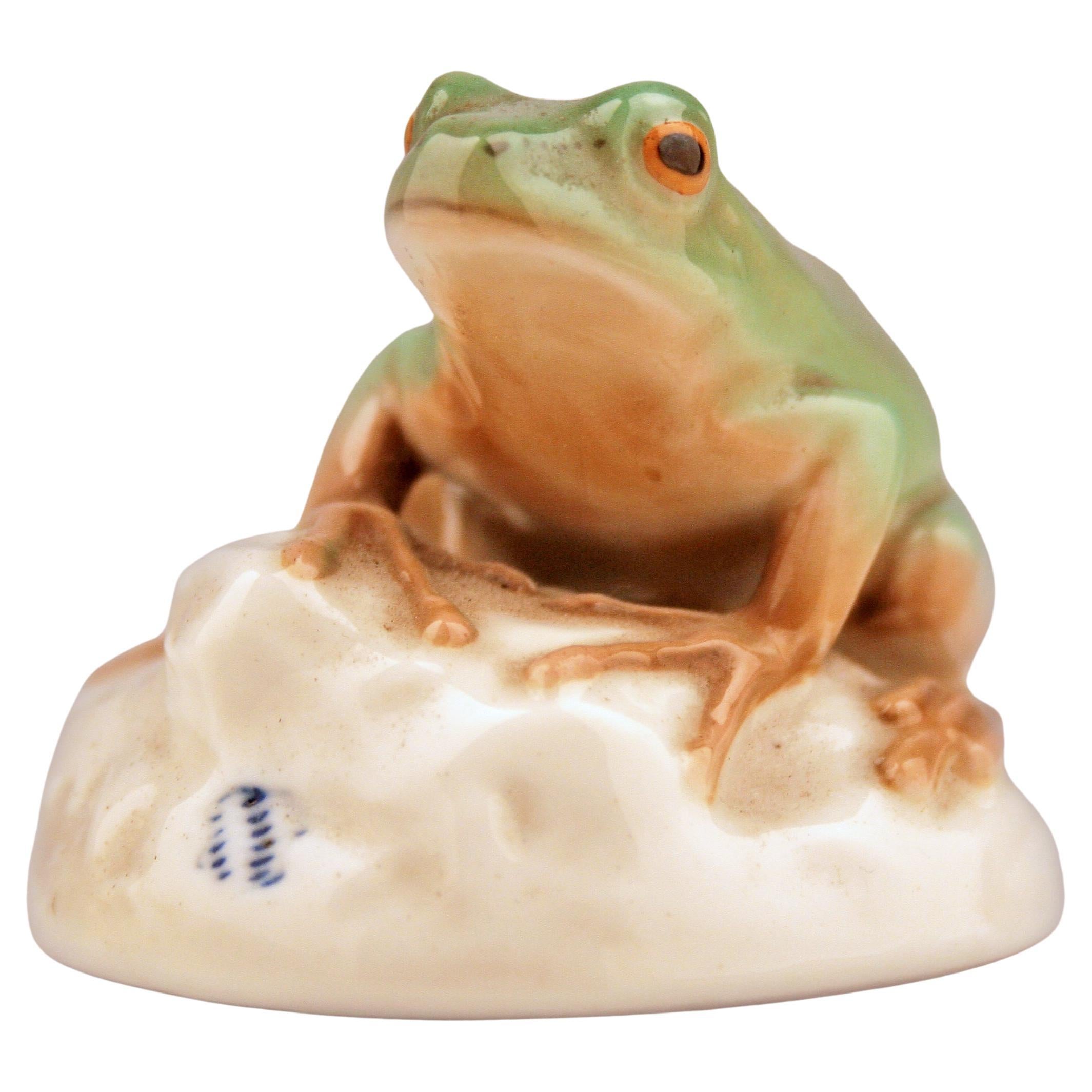Mid-20th Century Modern German Glazed and Painted Porcelain Frog by Nymphenburg For Sale