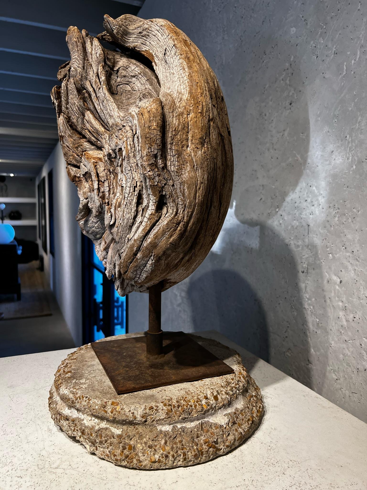 Unique Wood Sculpture from a Root of a Burled Tree, mounted on Rusty Iron Base. 
looks great on a pedestal. impressive in person and dramatic in its textural appearance. 
