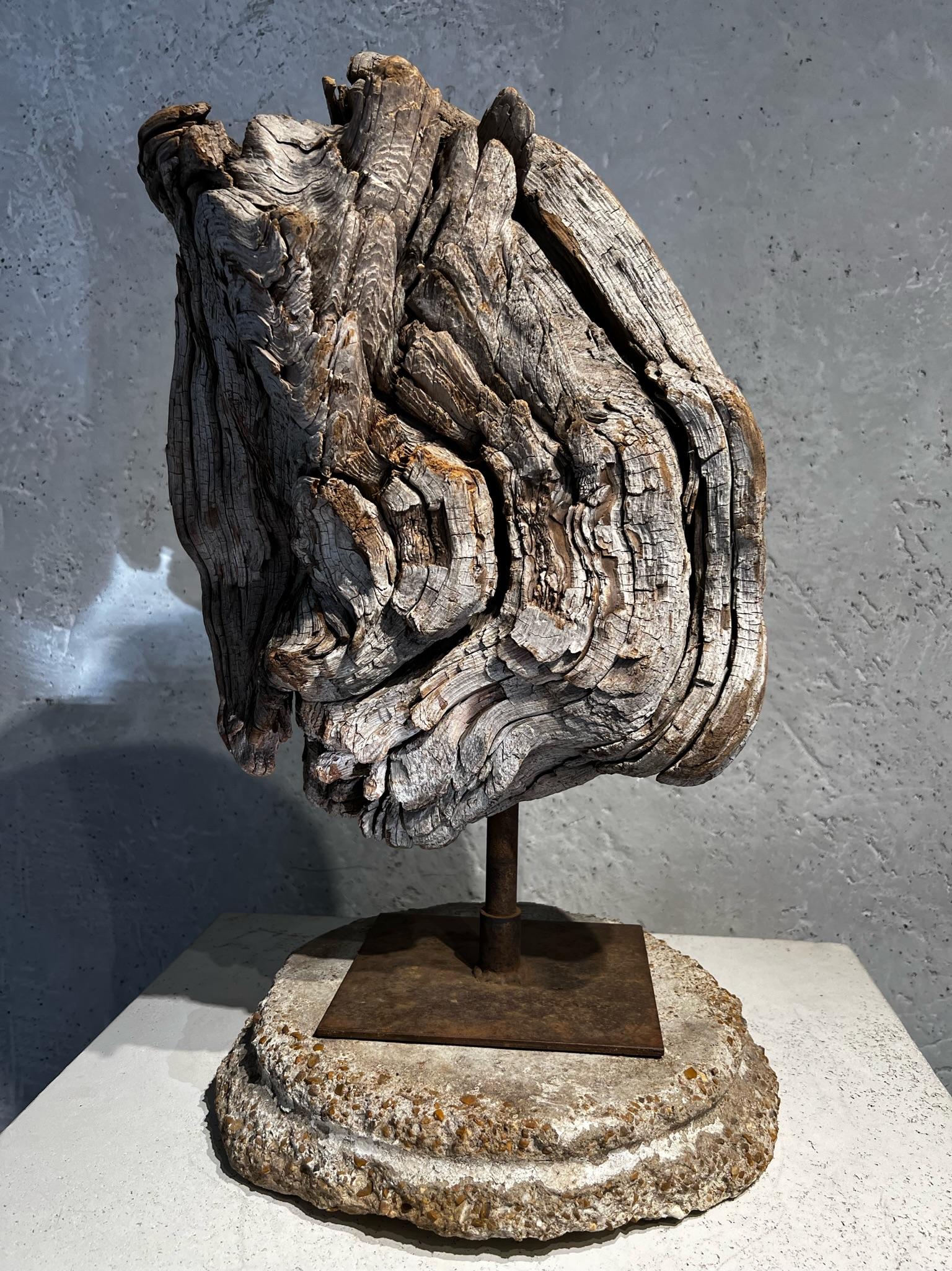 Mid 20th Century Mounted Burled Wood Sculpture  For Sale 1