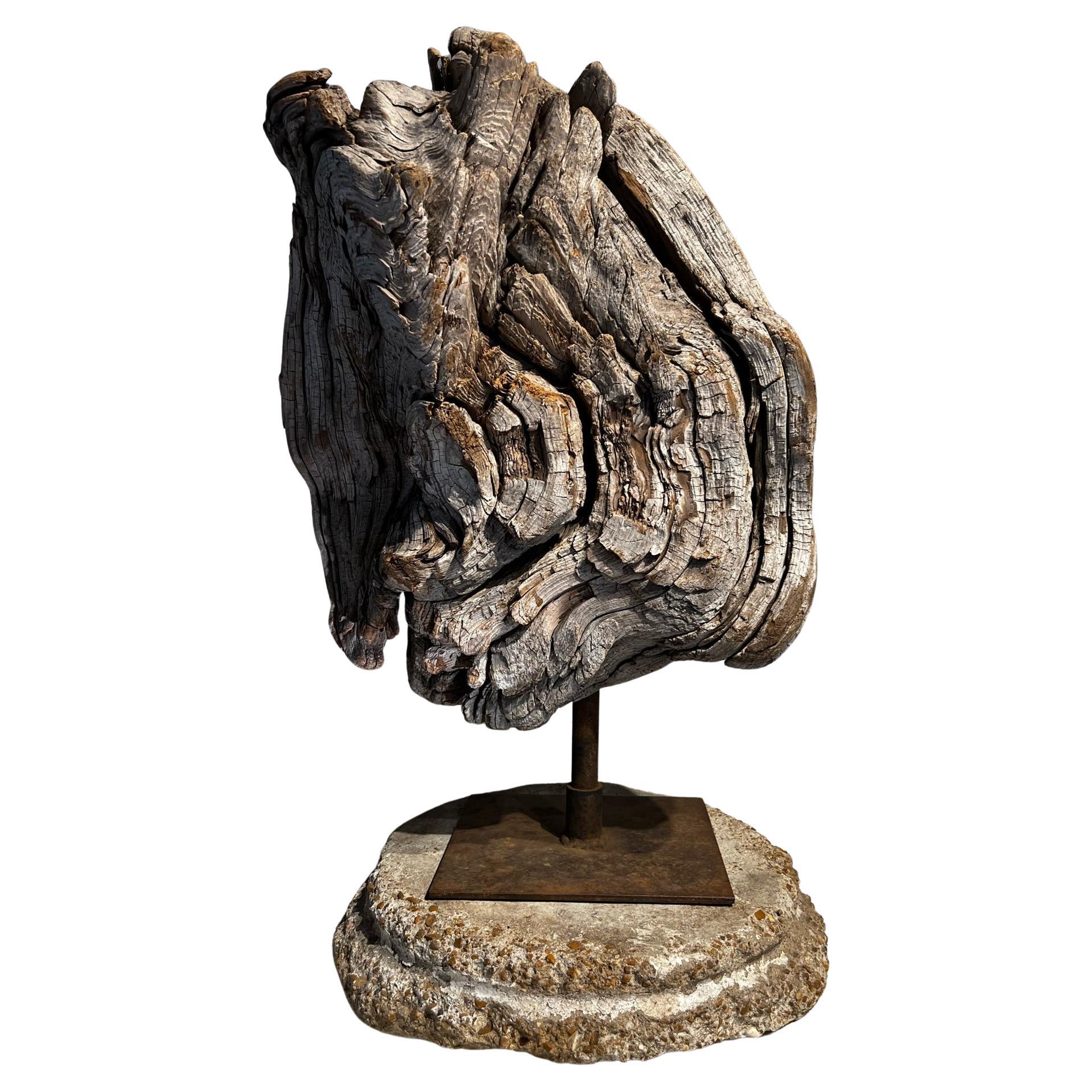 Mid 20th Century Mounted Burled Wood Sculpture 