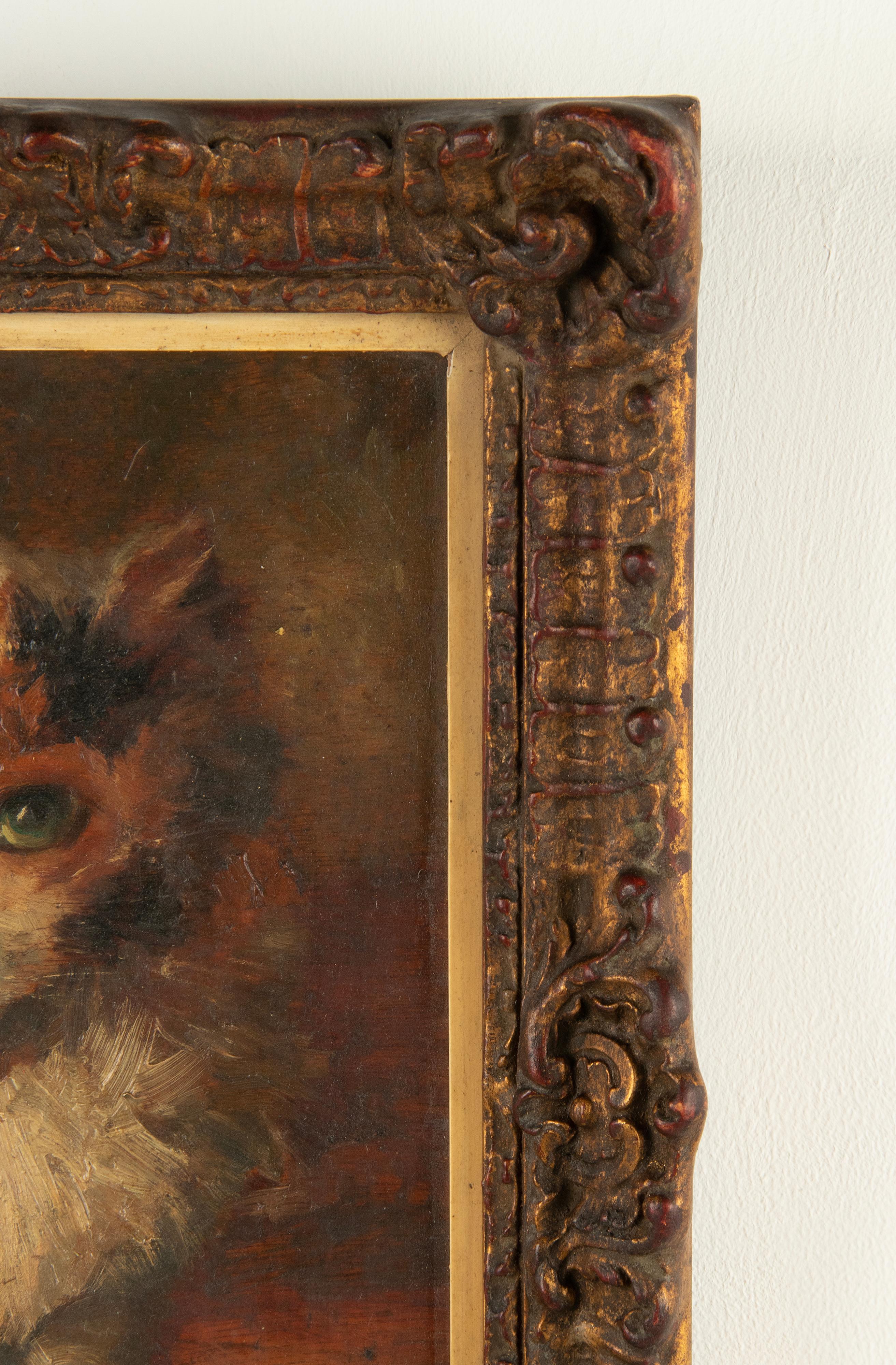 Wood Mid 20th Century Oil Painting of a Cat by Madeleine Peters-Tombu For Sale