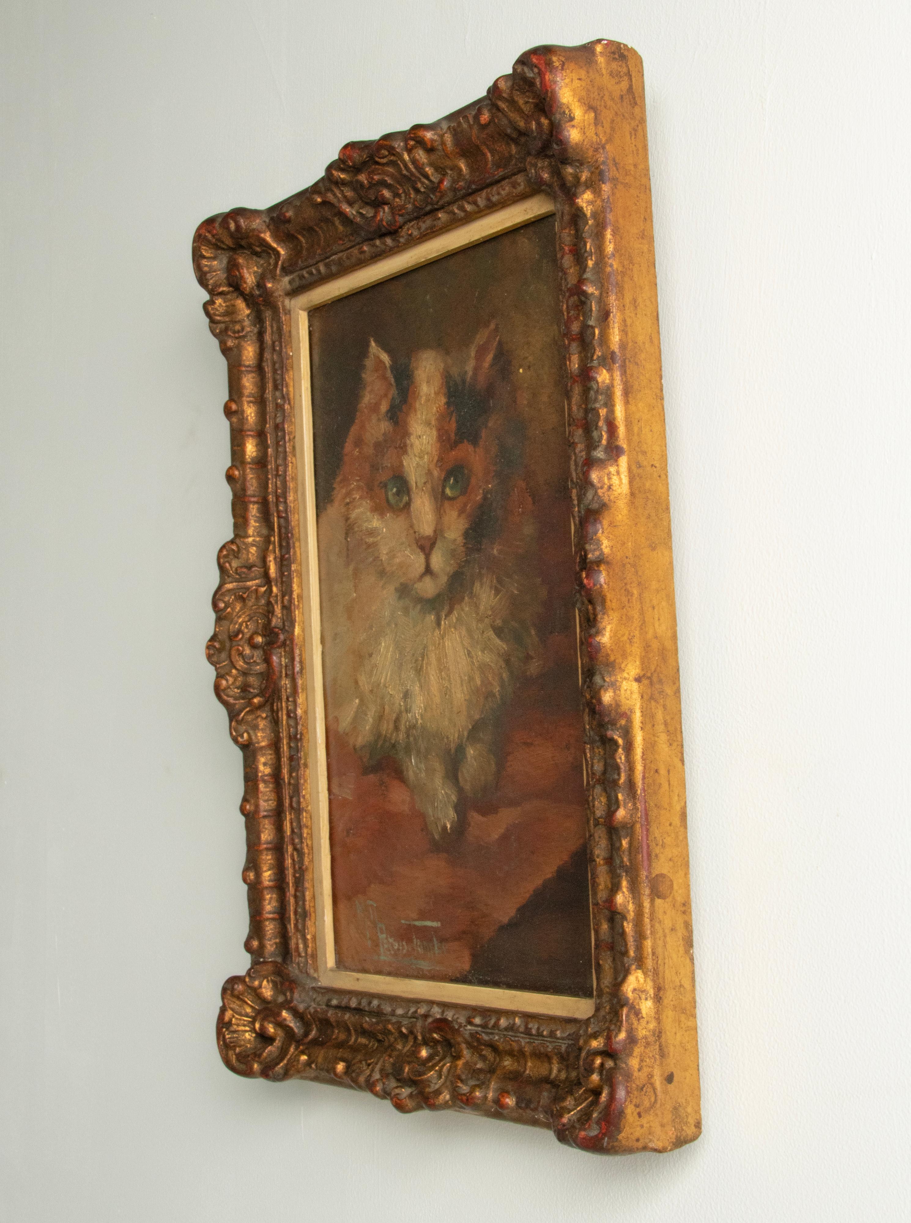 Mid 20th Century Oil Painting of a Cat by Madeleine Peters-Tombu For Sale 1