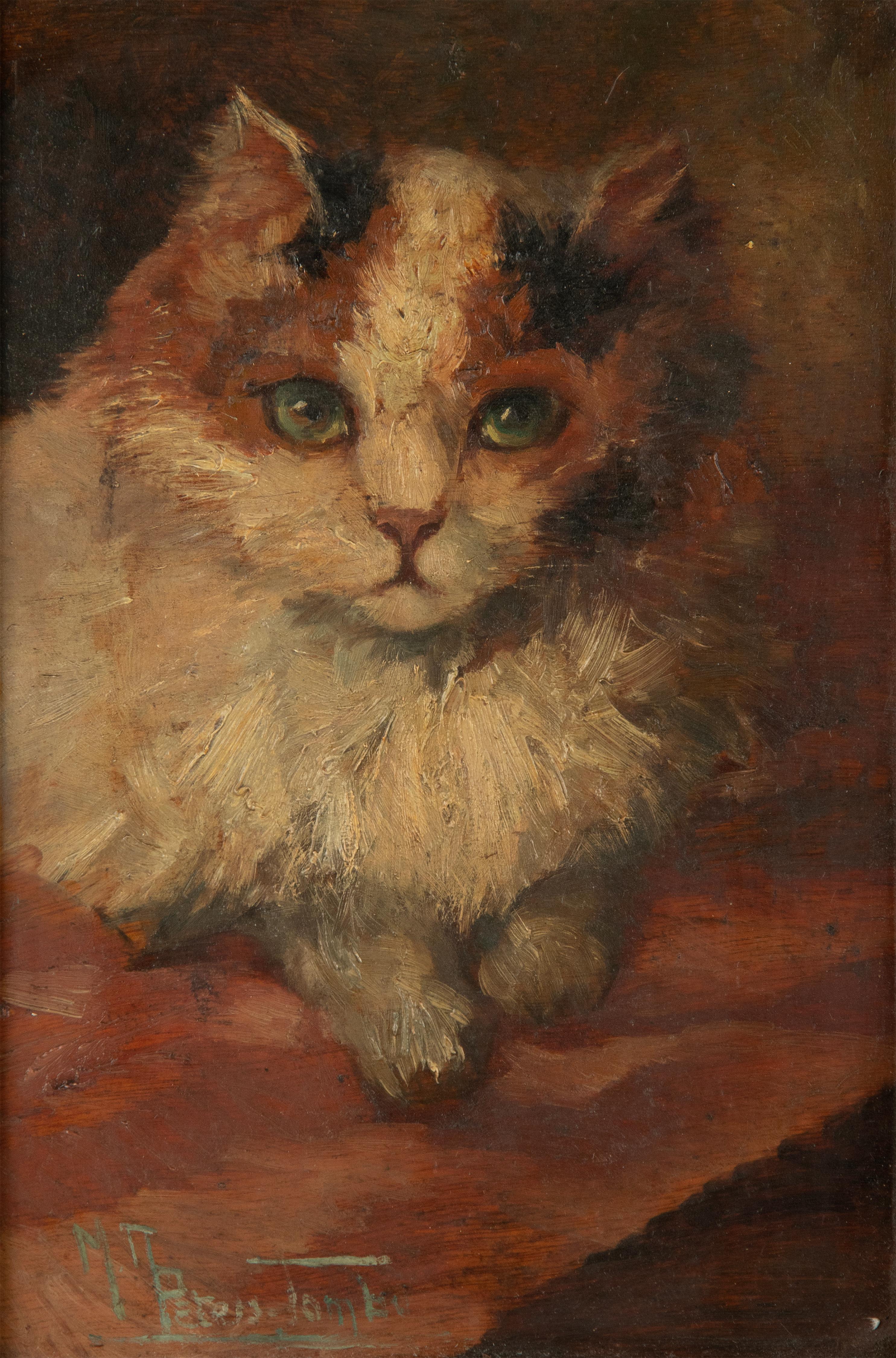 An oil painting of a lying cat, painted on a wooden panel. In a wooden frame. Signed left under: 

Dimensions frame: 38 x 29 cm
Dimensions painting: 28 x 19 cm

Madeleine Peters-Tombu. Belgium, 1897-1996
She was a painter, etcher and poet.She