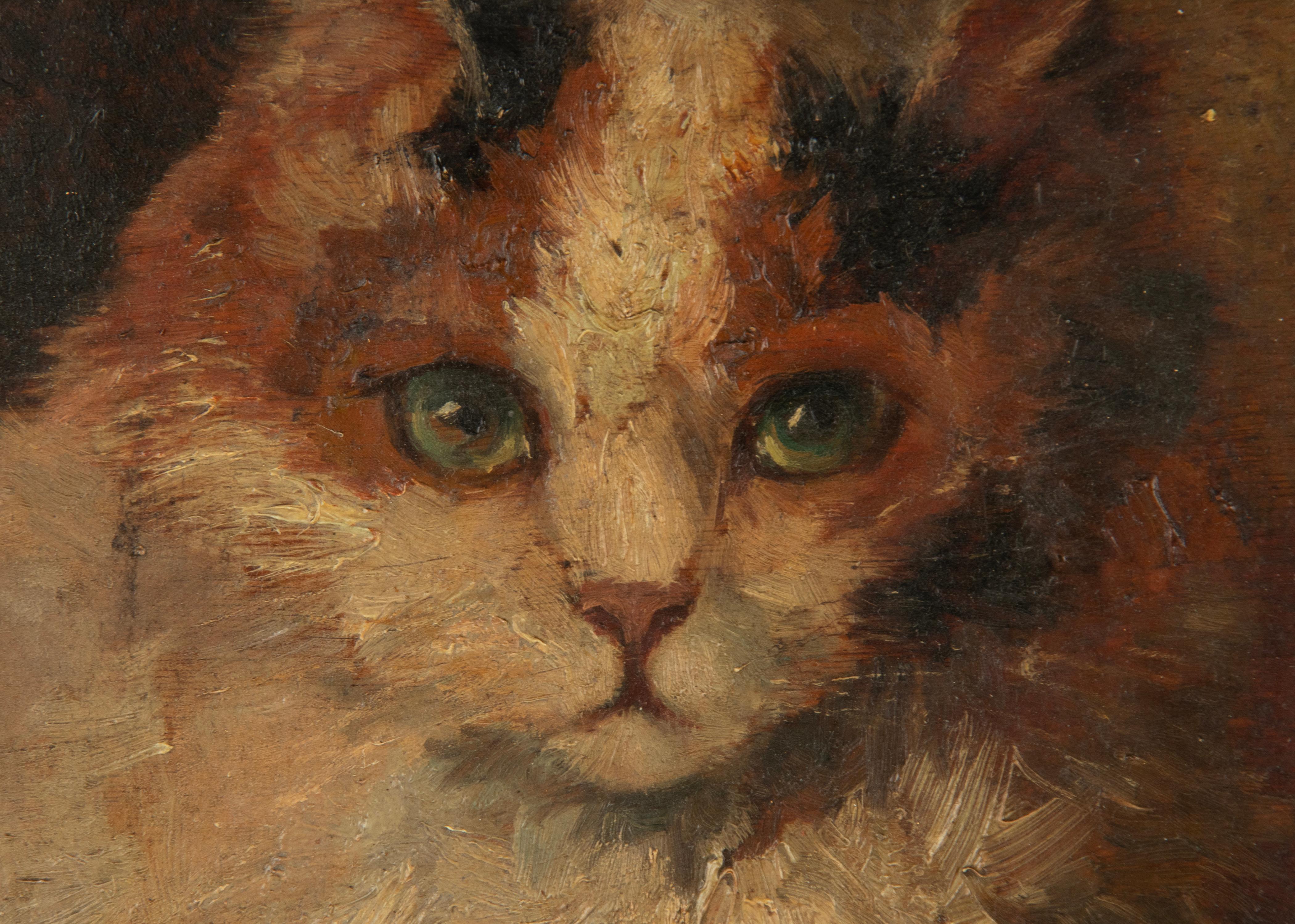 Peint à la main Peinture à l'huile d'un chat du milieu du XXe siècle par Madeleine Peters-Tombu en vente