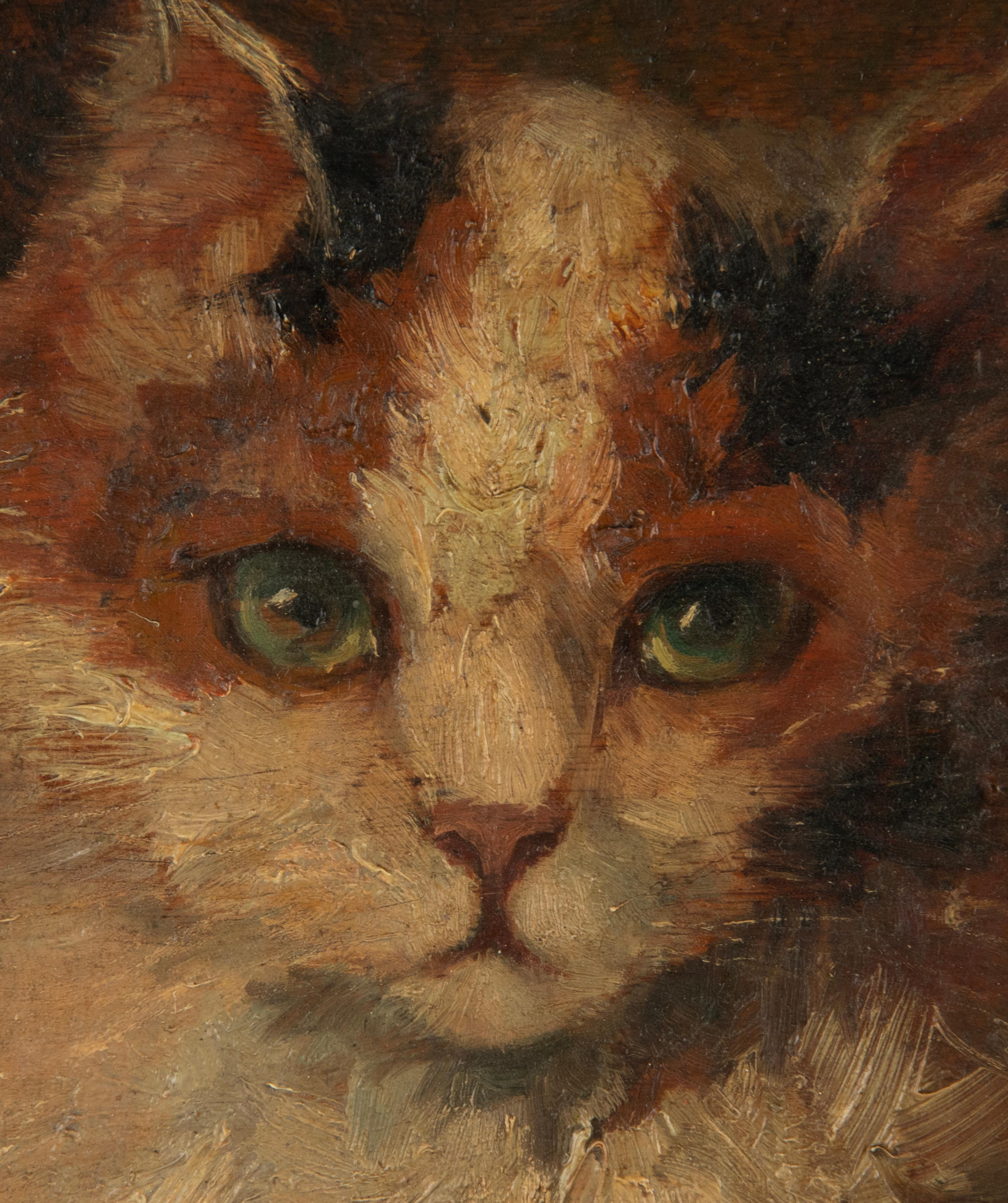 Milieu du XXe siècle Peinture à l'huile d'un chat du milieu du XXe siècle par Madeleine Peters-Tombu en vente