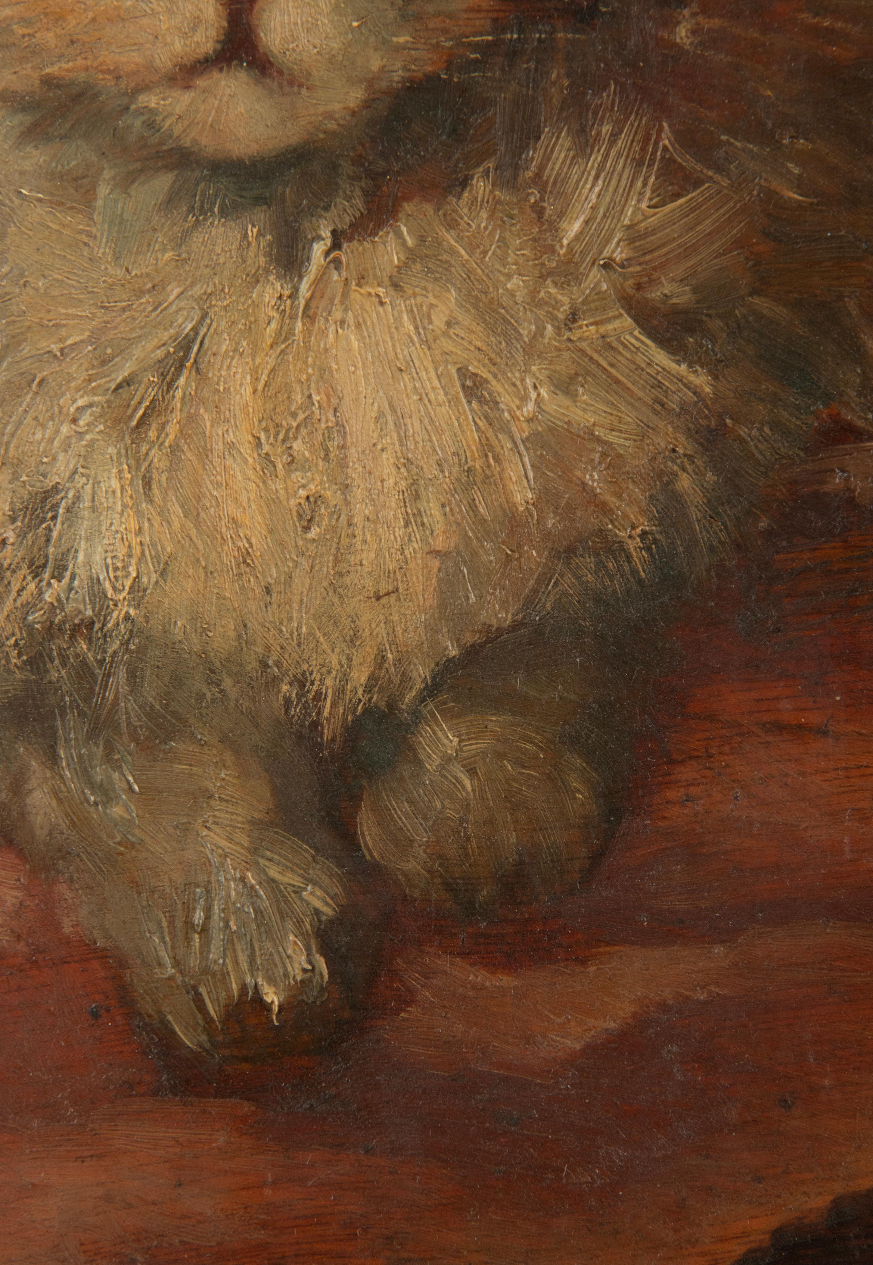 Peinture à l'huile d'un chat du milieu du XXe siècle par Madeleine Peters-Tombu en vente 1