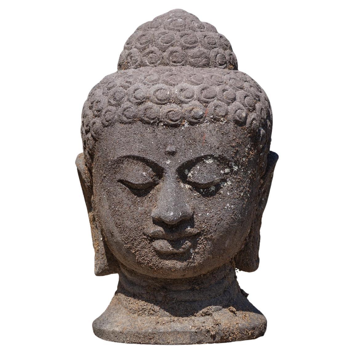 Middle 20th century Large old lavastone Buddha head from Indonesia For