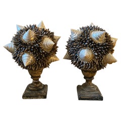 Mid-20th Century Pair of Composition of Shells on Antique Lacquered Wood Bases