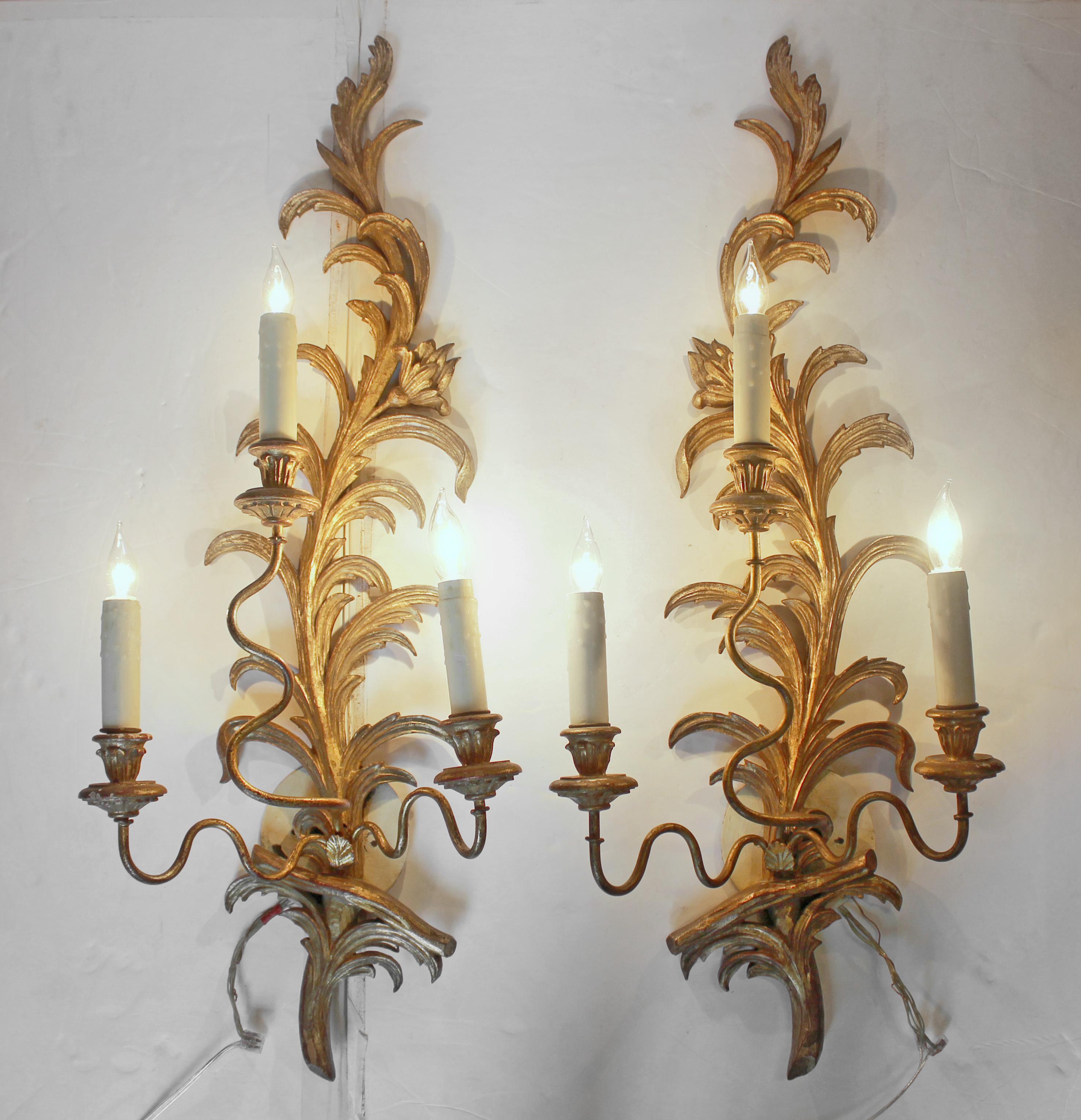 Paire d'appliques murales en bois doré, probablement italiennes. Un bel exemple, sculpté et doré à la main. Triple lumière. Dorer les bras tordus en fer. Électrification moderne. Petites éraflures et fissures de rétrécissement.
38