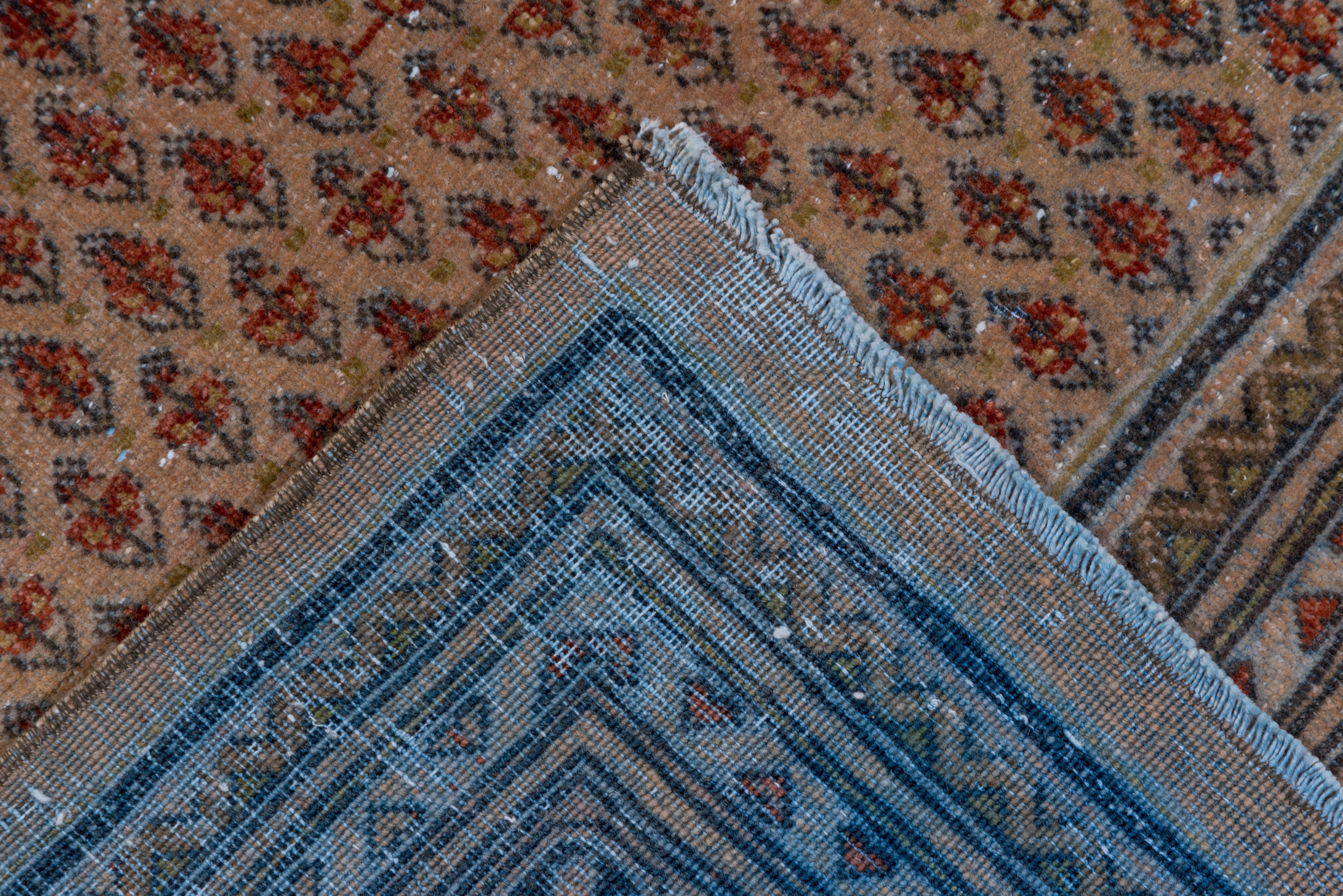 Wool Mid-20th Century Persian Saraband Carpet, Light Brown Field, Blue & Red Accents For Sale
