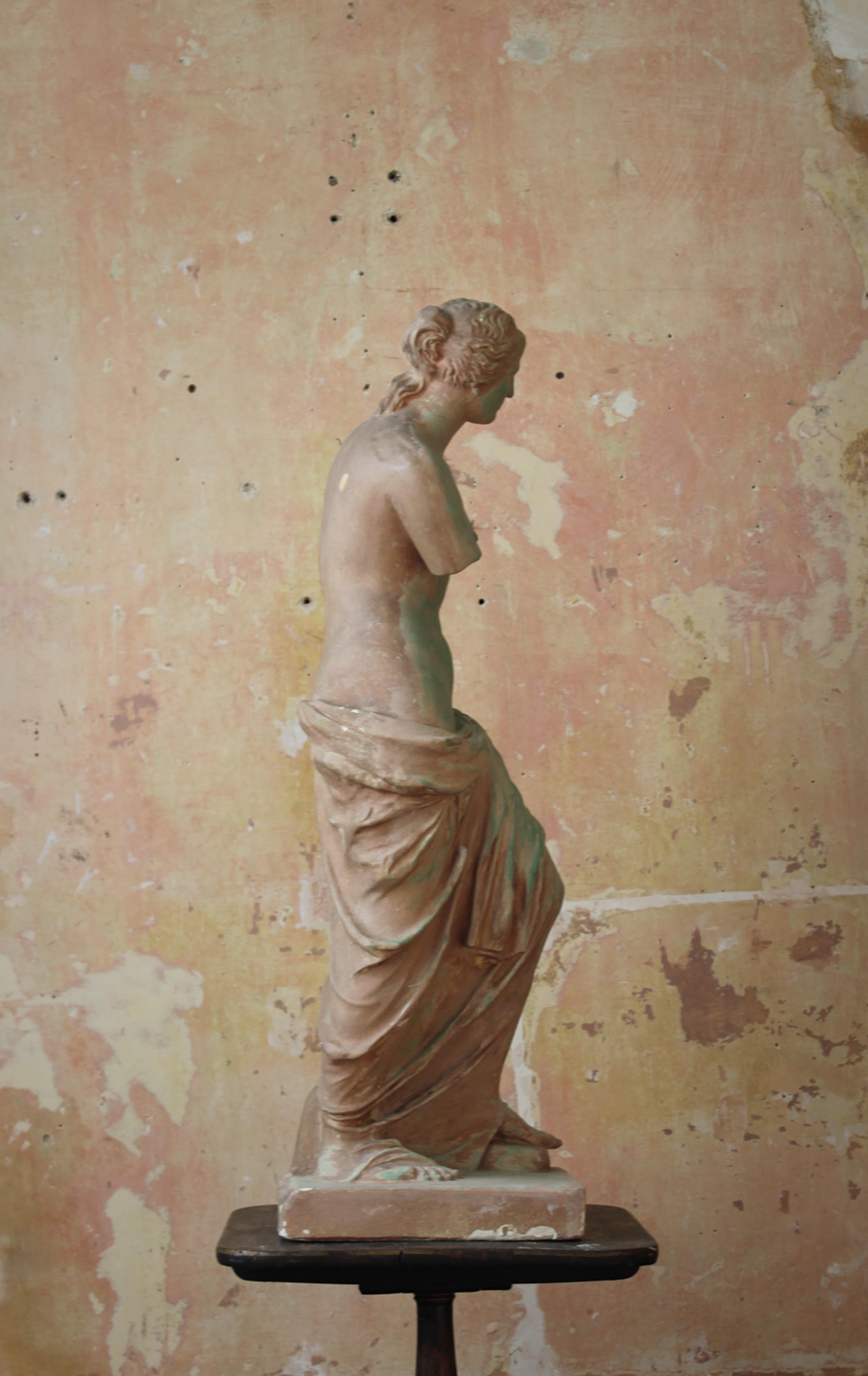 Mid 20th Century Plaster Venus De Milo Statue Grand Tour  6