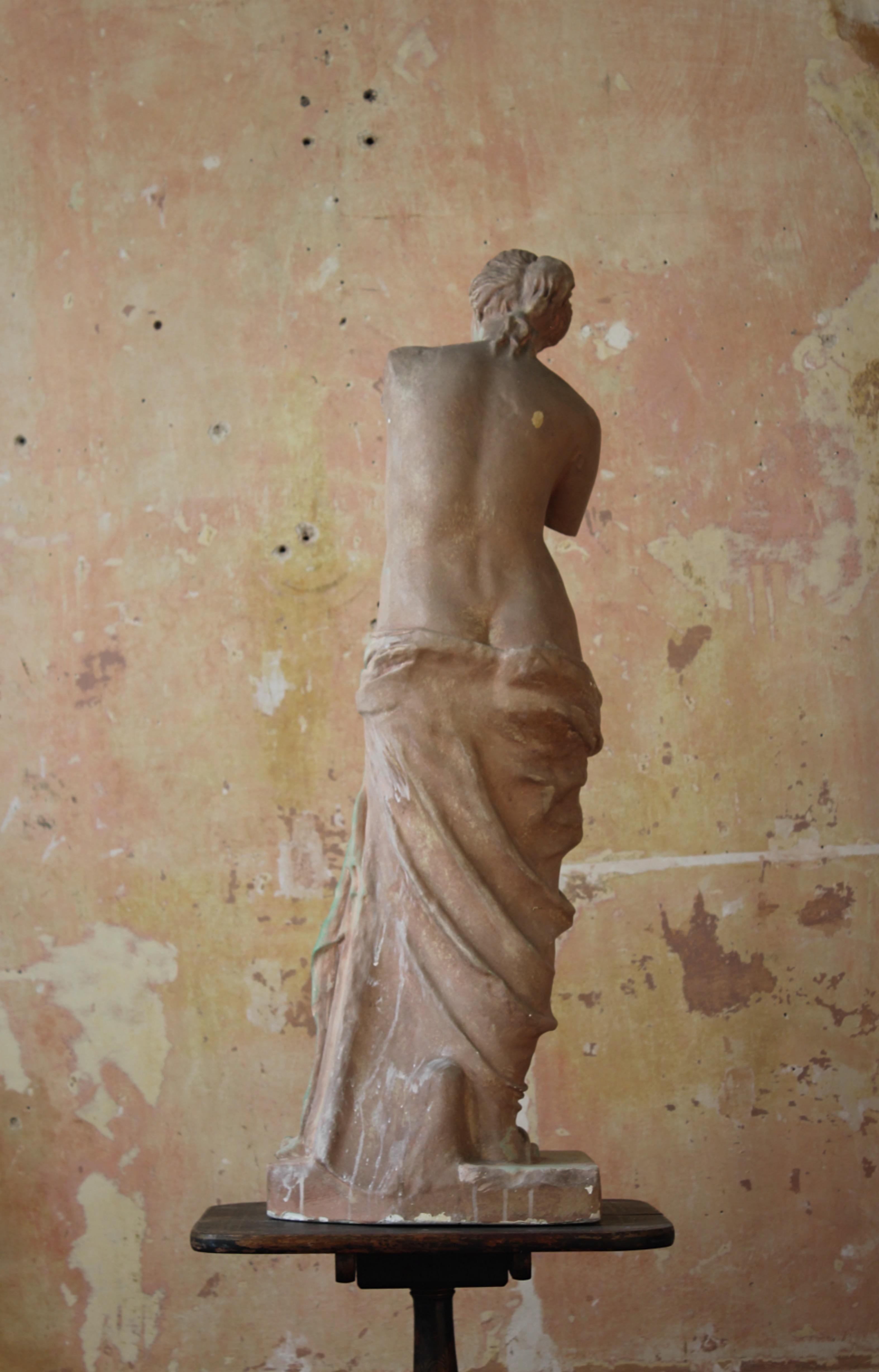 Mid 20th Century Plaster Venus De Milo Statue Grand Tour  8