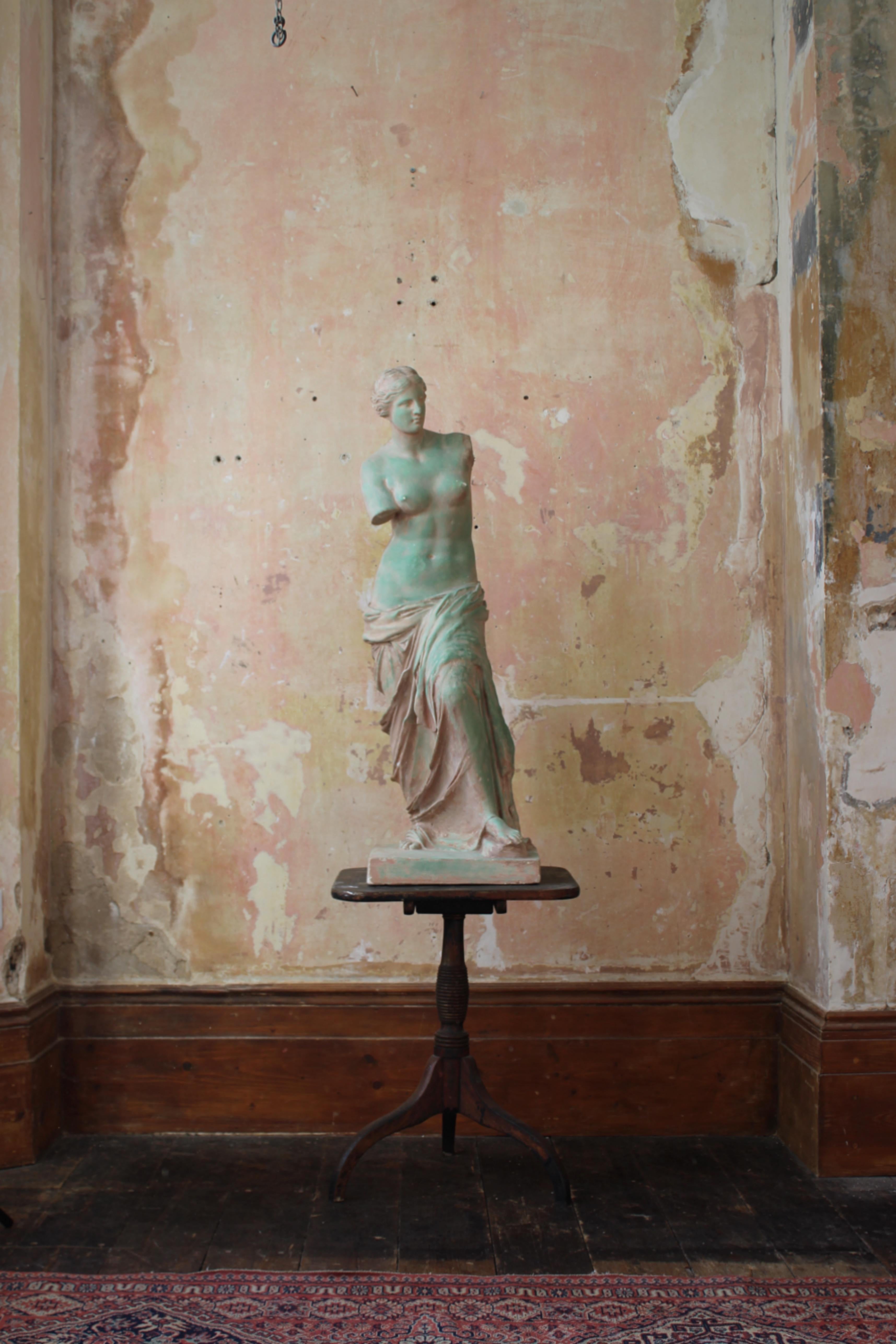 Mid 20th Century Plaster Venus De Milo Statue Grand Tour  3
