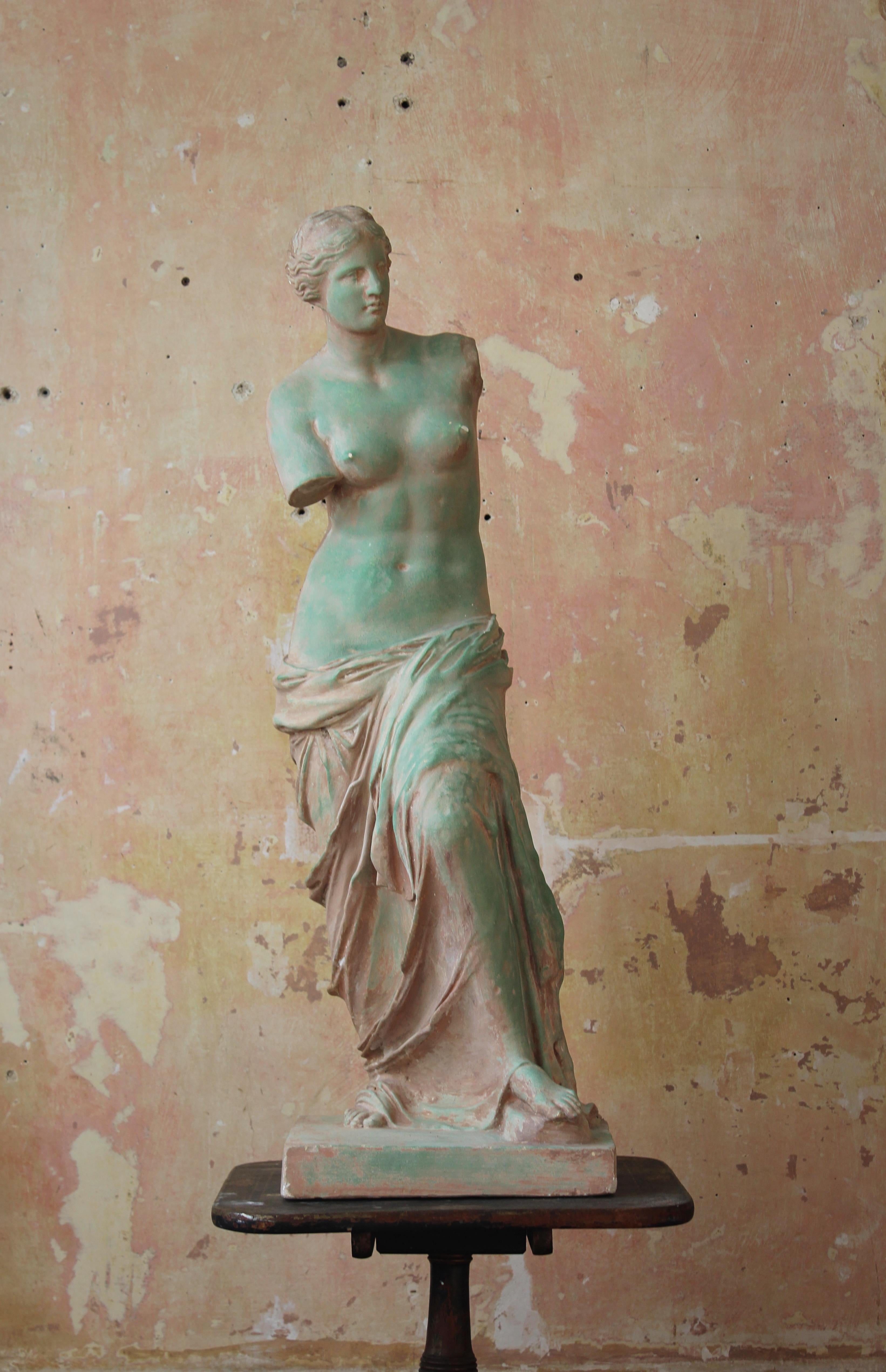 Mid 20th Century Plaster Venus De Milo Statue Grand Tour  4