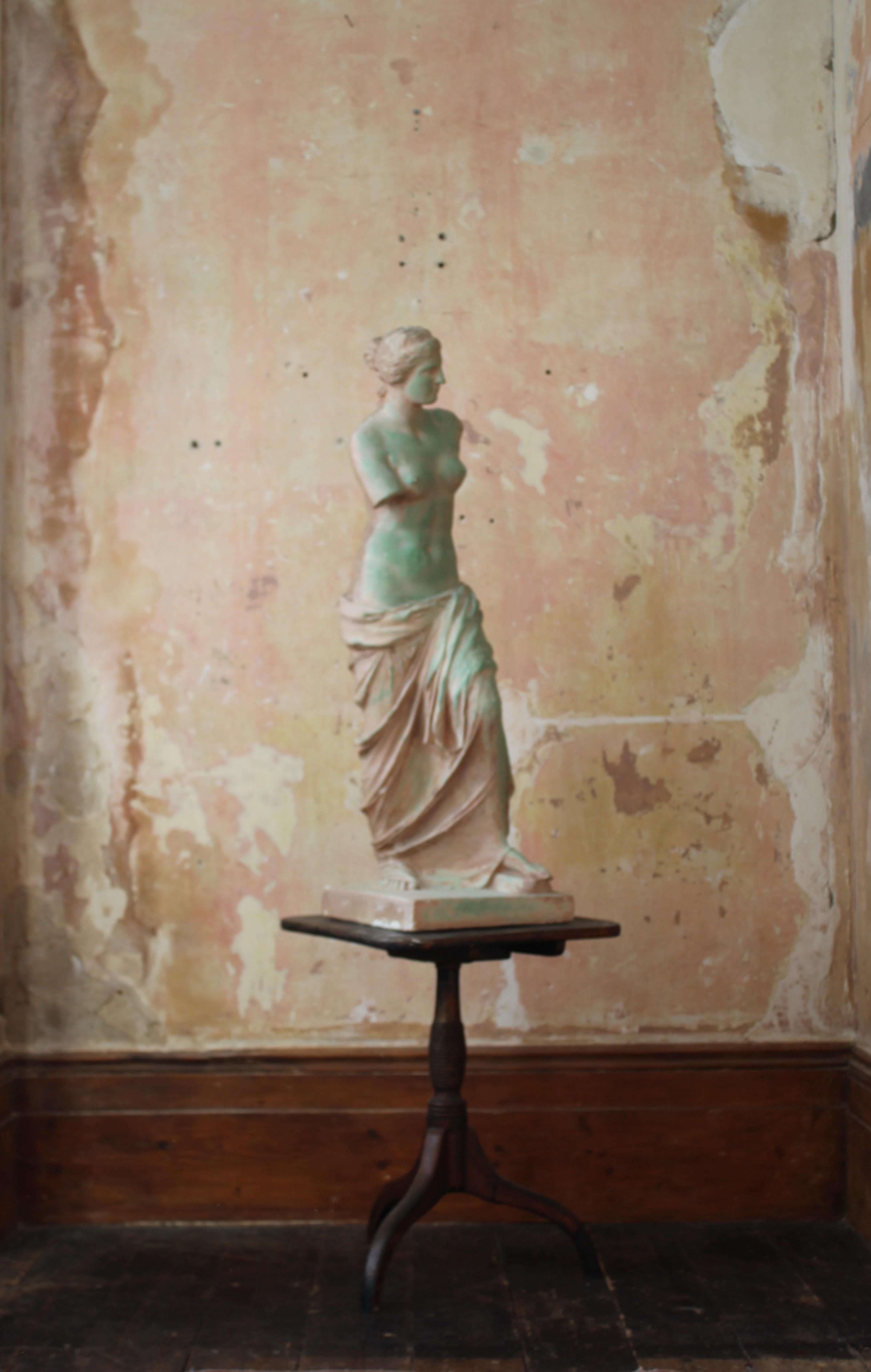 Mid 20th Century Plaster Venus De Milo Statue Grand Tour  5