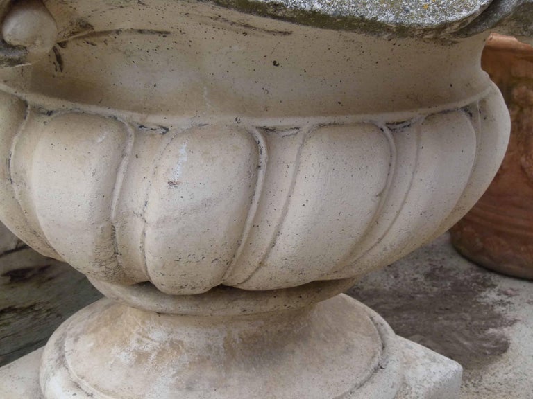 Mid-20th Century Reconstituted Stone Urn in Classical Greek Style For Sale 2